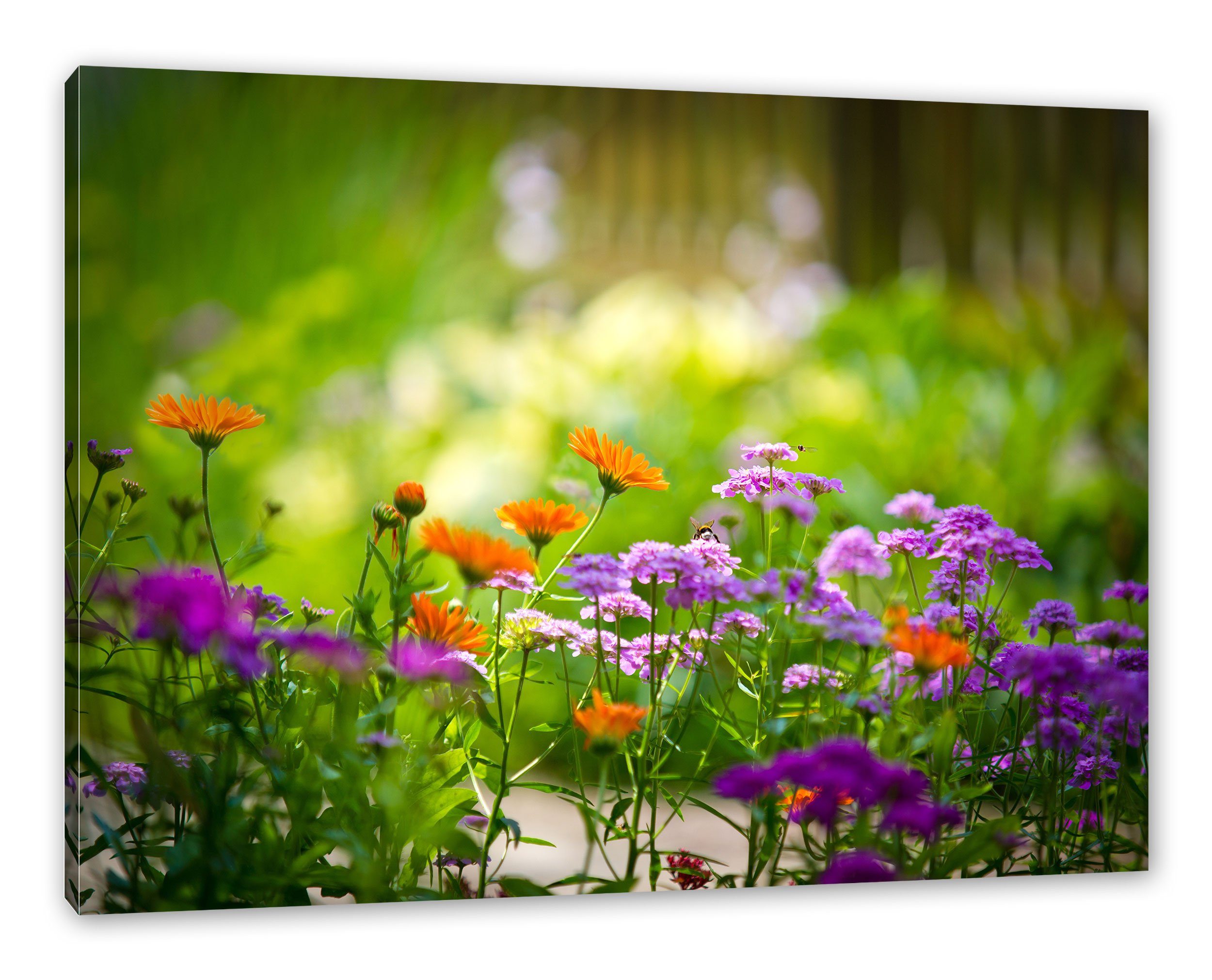 Pixxprint Leinwandbild Blumenwiese, Blumenwiese (1 St), Leinwandbild fertig bespannt, inkl. Zackenaufhänger