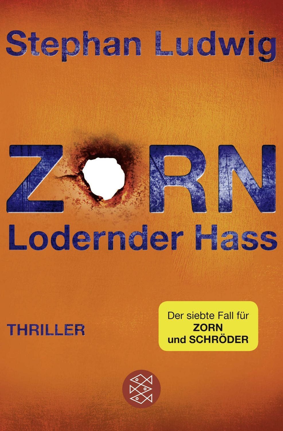 Zorn - Lodernder Hass / Stephan Ludwig, Thriller