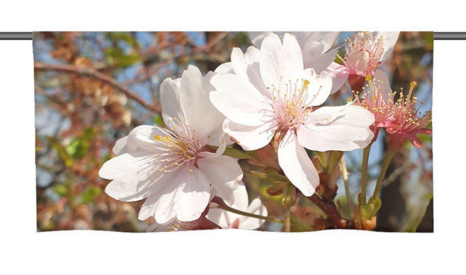 gardinen-for-life Scheibengardine Cafehausgardine mit tollem Motiv "Blütenpracht" - Voile Transparent