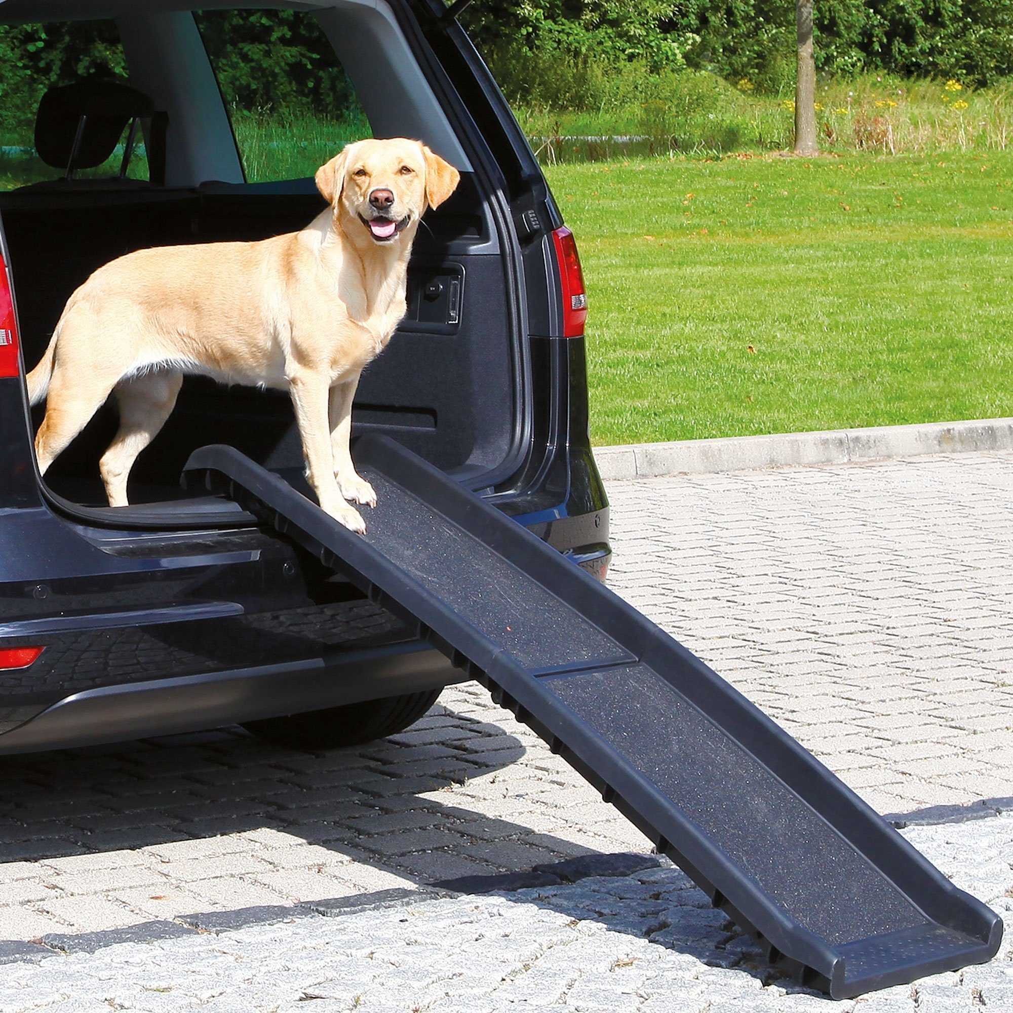 TRIXIE Hunderampe Hunderampe Petwalk (1-St), handlich und platzsparend zusammenklappbar.