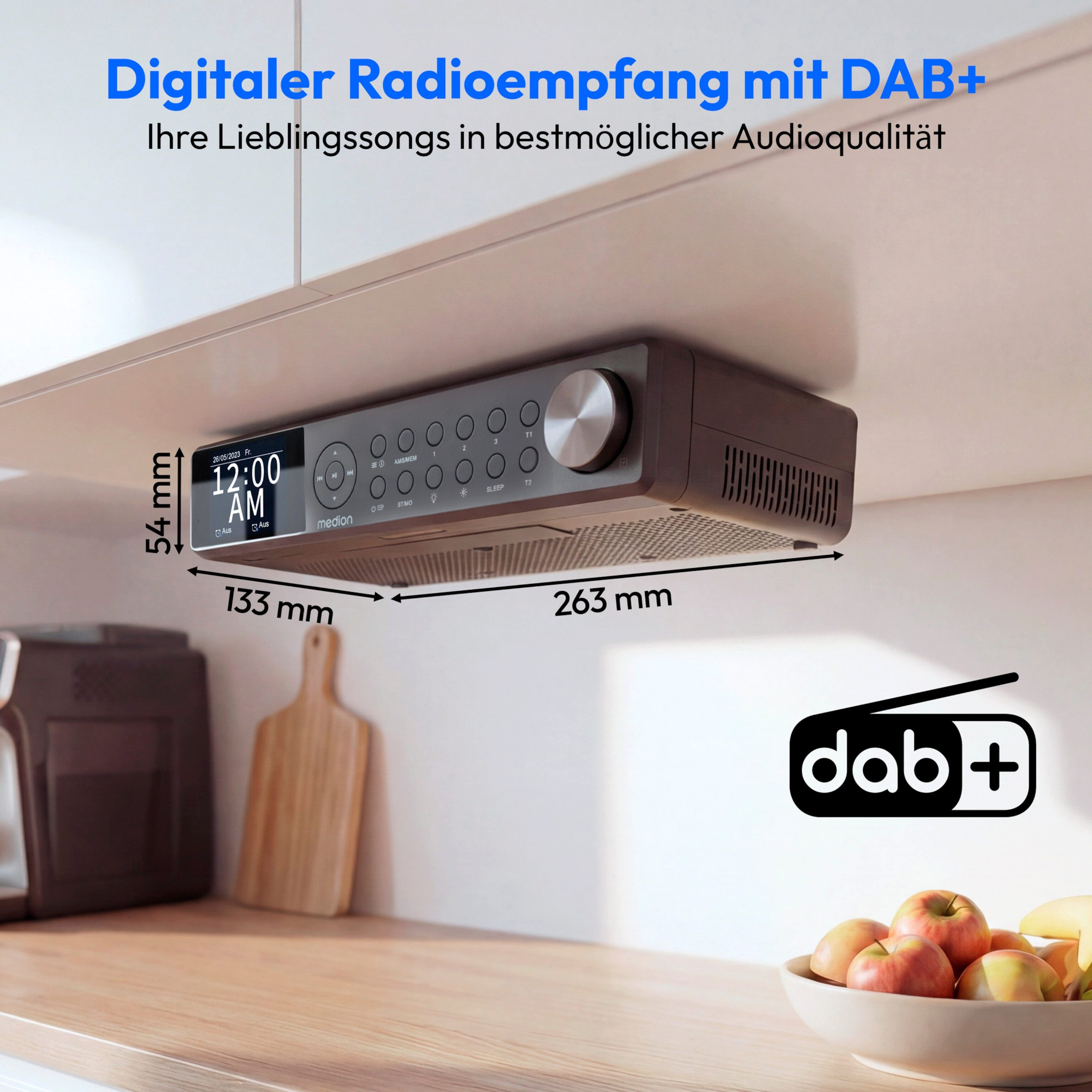 Medion® Radio (AM/FM, MW/UKW, DAB+, 3 W, P66750)
