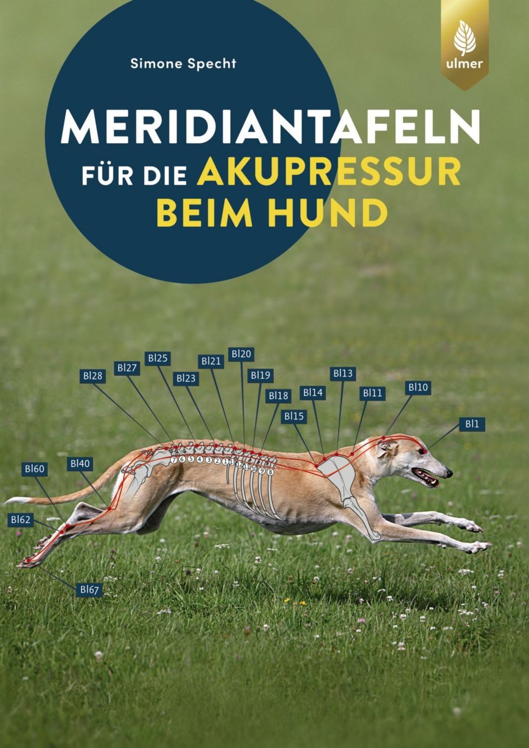 Meridiantafeln für die Akupressur beim Hund / Simone Specht