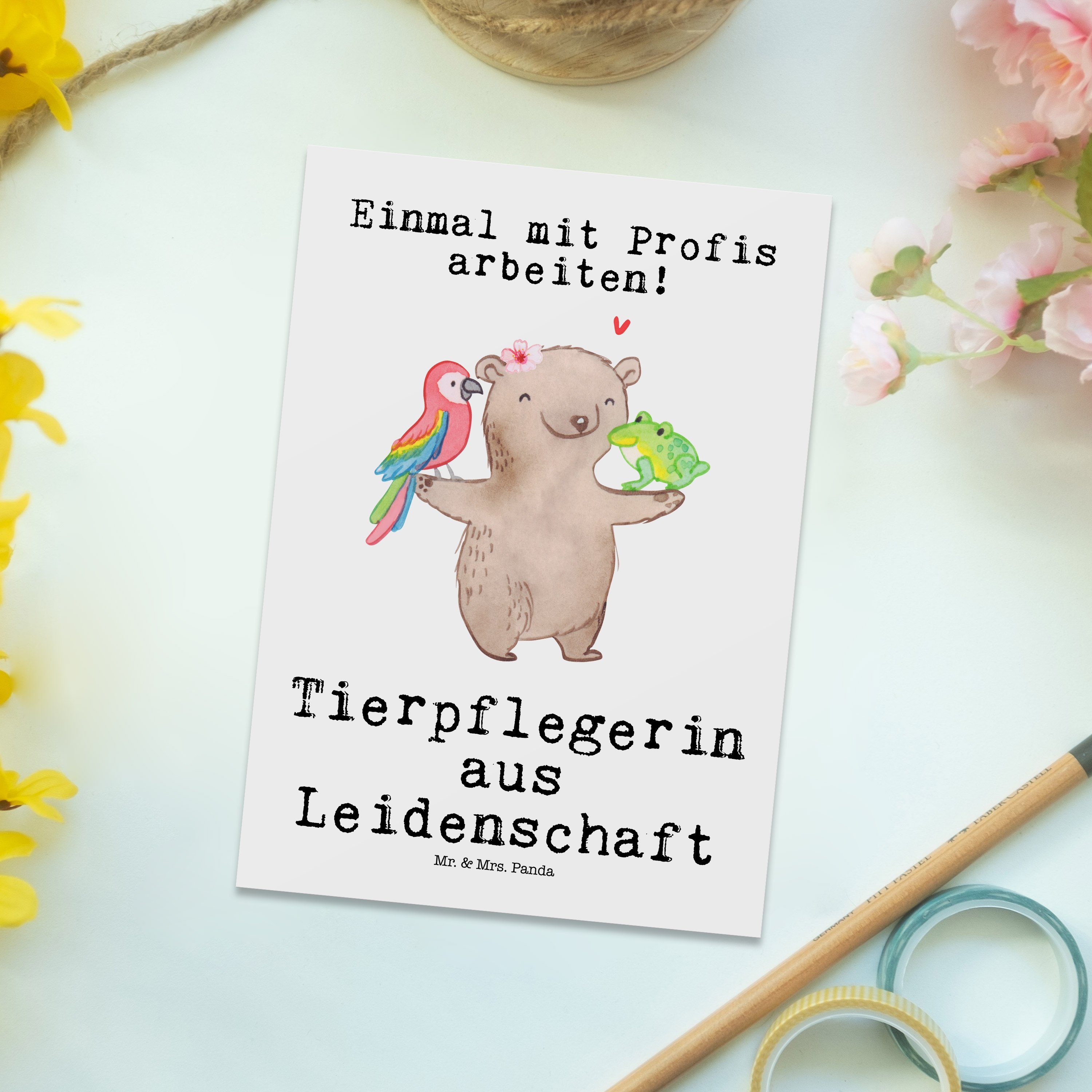 Tierpflegerin Weiß Postkarte & aus - Mrs. Schenken - Mr. Einladung, Geschenk, Panda Leidenschaft