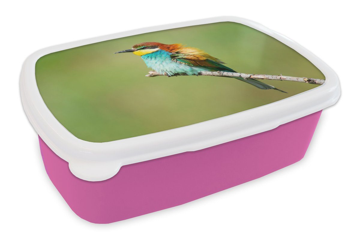 Vogel Snackbox, Bienenfresser, rosa Mädchen, für Kunststoff - MuchoWow (2-tlg), Kunststoff, Kinder, Brotbox - Lunchbox Erwachsene, Brotdose Tiere
