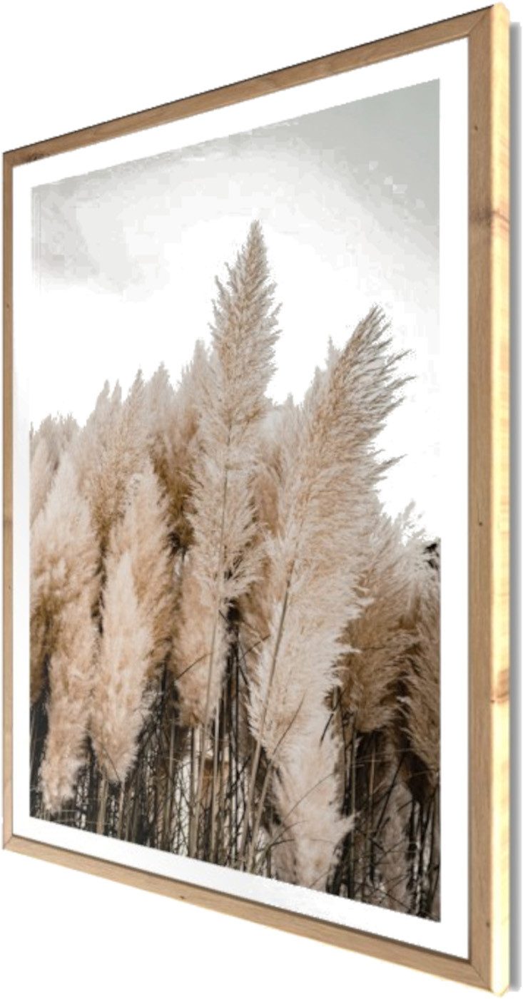 Bönninghoff Bild mit Rahmen Wandbild gerahmt PAMPASGRAS 50x70 cm – Natürliches Gräsermotiv in, Gräser, Natur, Pflanzen, Pflanzenbilder (1 St), mit dekorativem R – Bild 3 von 5
