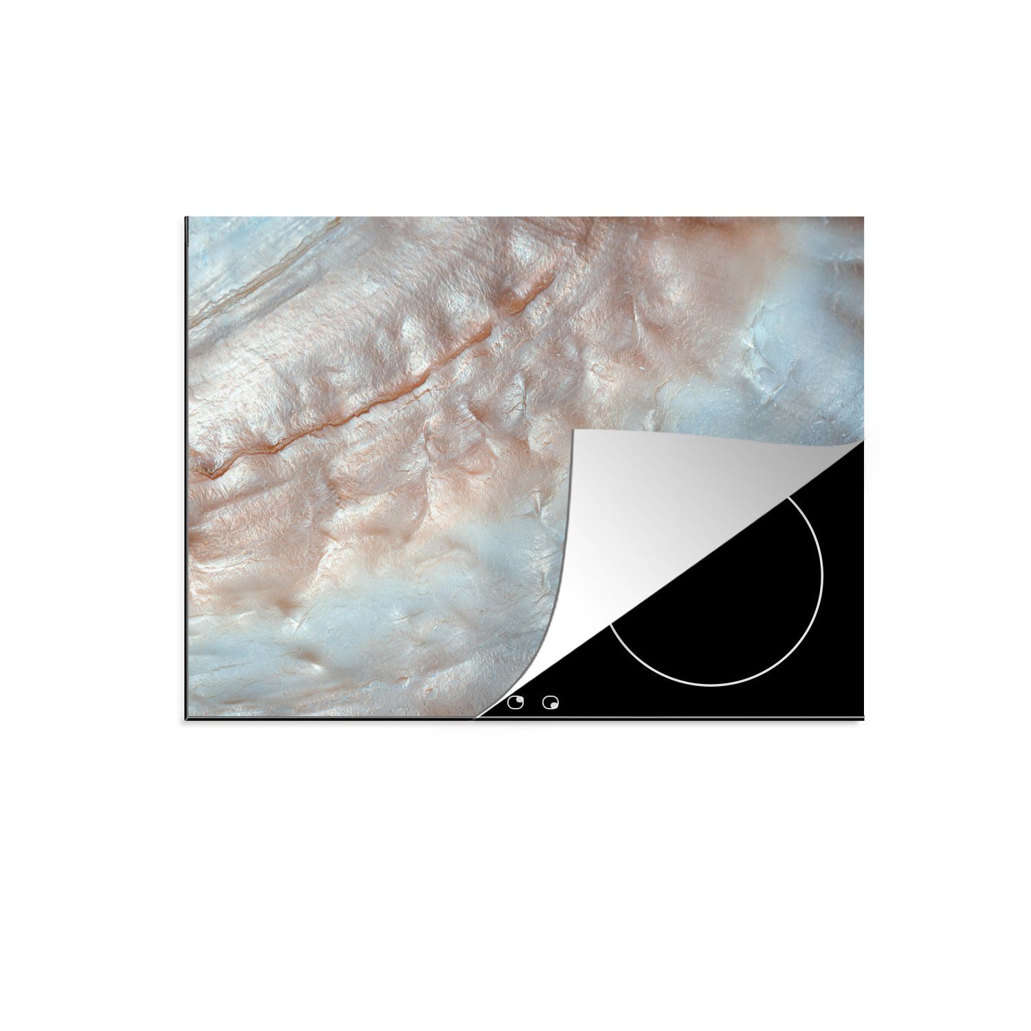 MuchoWow Herdblende-/Abdeckplatte Muscheln - Abstrakt - Natur, Vinyl, (1 tlg), 59x51 cm, Induktionsschutz, Induktionskochfeld, Ceranfeldabdeckung