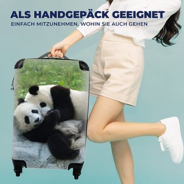 MuchoWow Handgepäckkoffer Pandas - Gras - Stein, 4 Rollen, Reisetasche mit rollen, Handgepäck für Ferien, Trolley, Reisekoffer