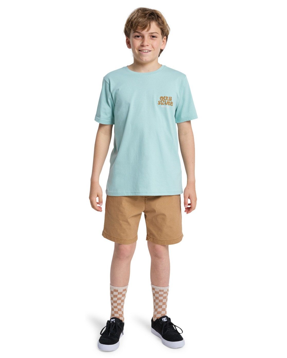 Quiksilver T-Shirt Fruits Tide