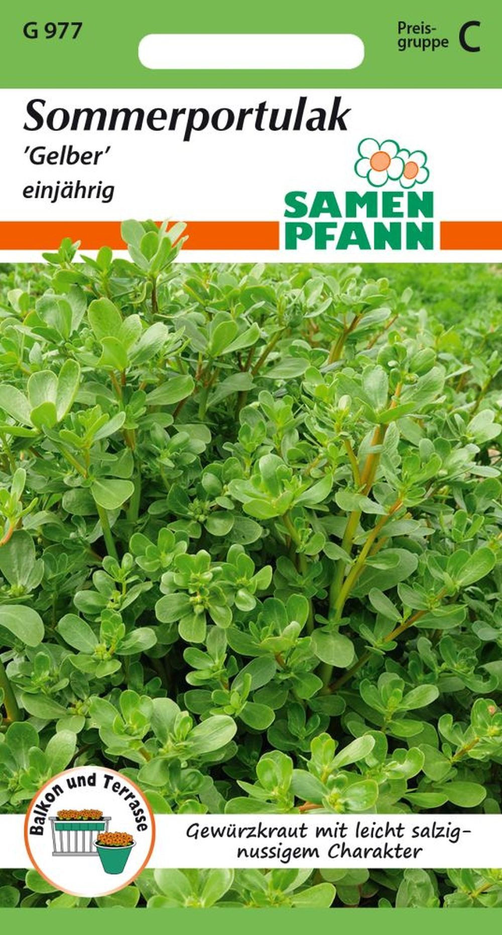 SAMEN PFANN Kräutersamen Sommerportulak, Gelber - Kräuter-Samen Gewürz Saatgut Samen, Portulaca oleracea