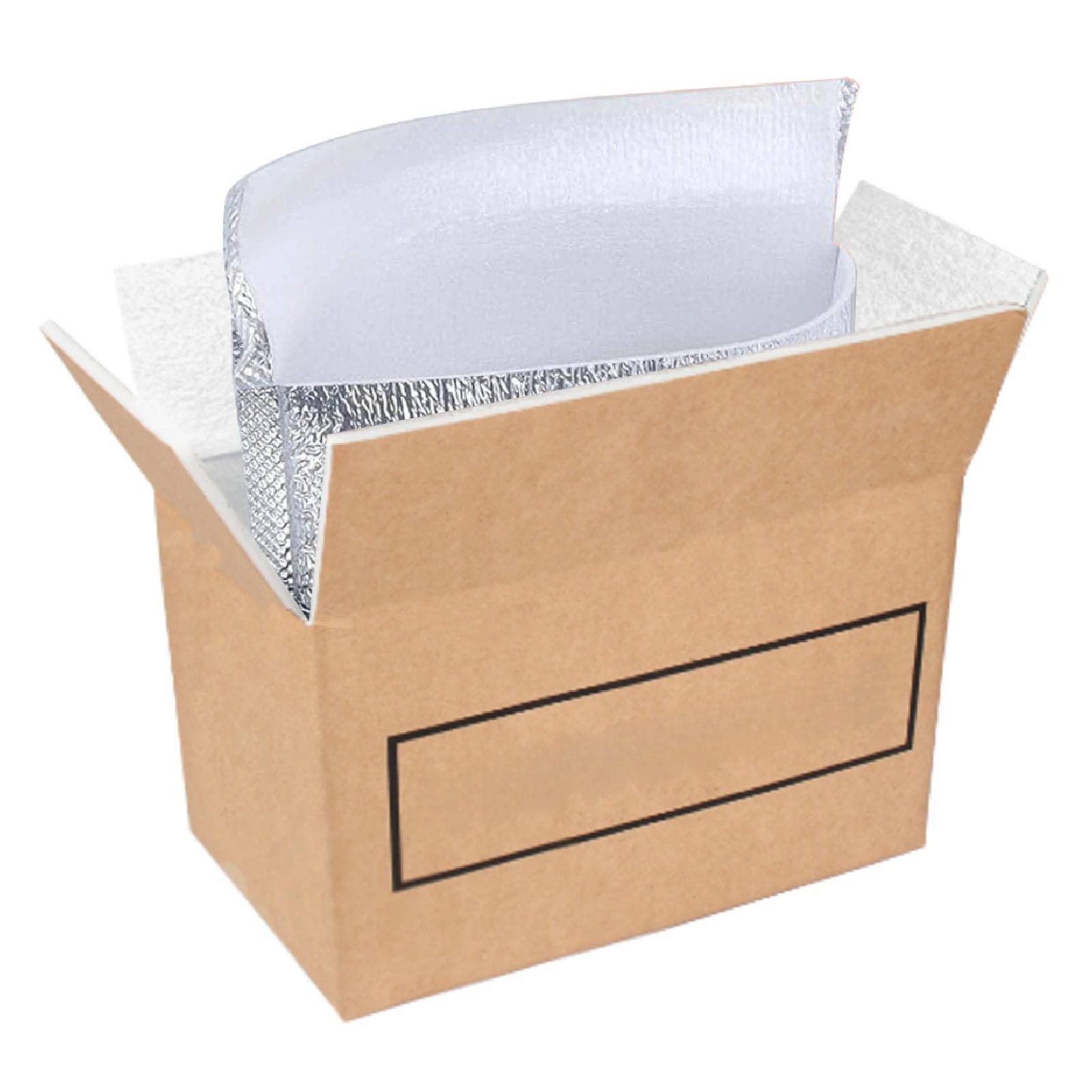 Rutaqian Versandkarton mit Aluminiumfolien-Auskleidung,10 Stück Umzugskarton,23x15x20 CM, Kleine Versandkarton für gefrorene Lebensmittel für gefrorene