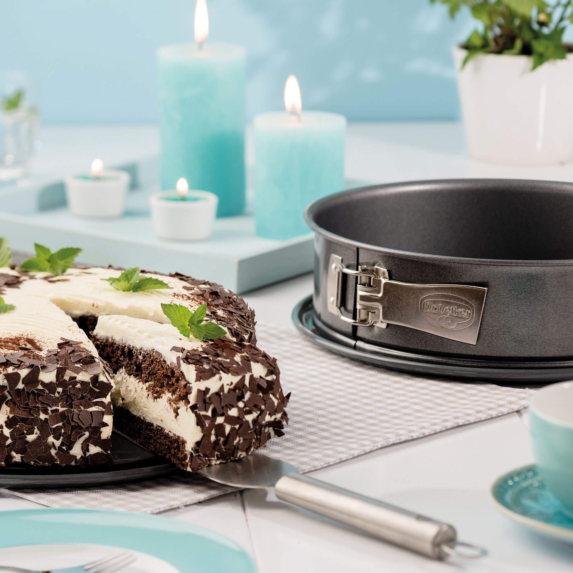 Dr. Oetker Küchenhelfer Springform Back-Harmonie, mit Emaille-Servierboden, Antihaft, schnittfest, auslaufsicher, Made in Germany