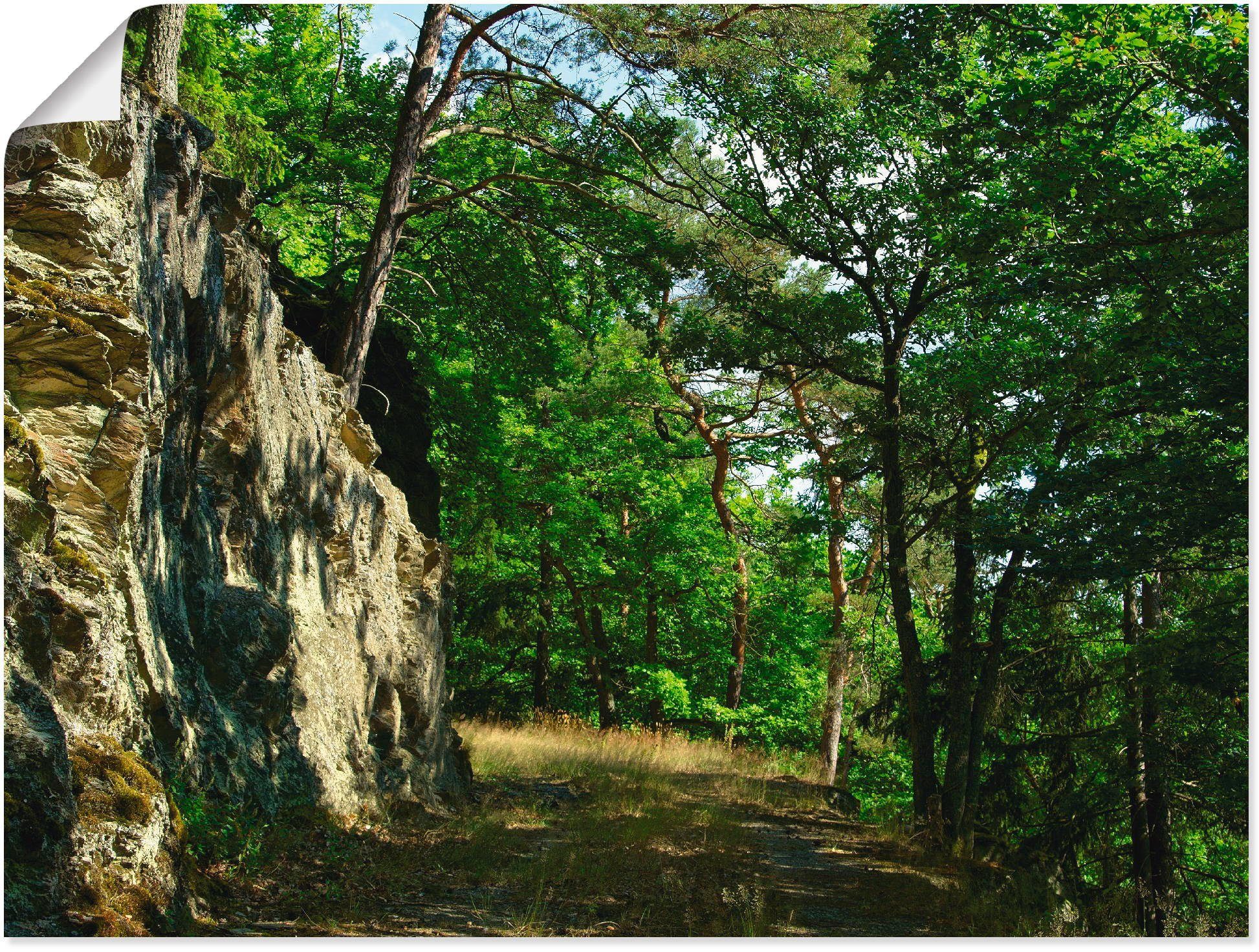 Artland Wandbild »Waldweg am Felsen«, Wald (1 Stück), in vielen Größen