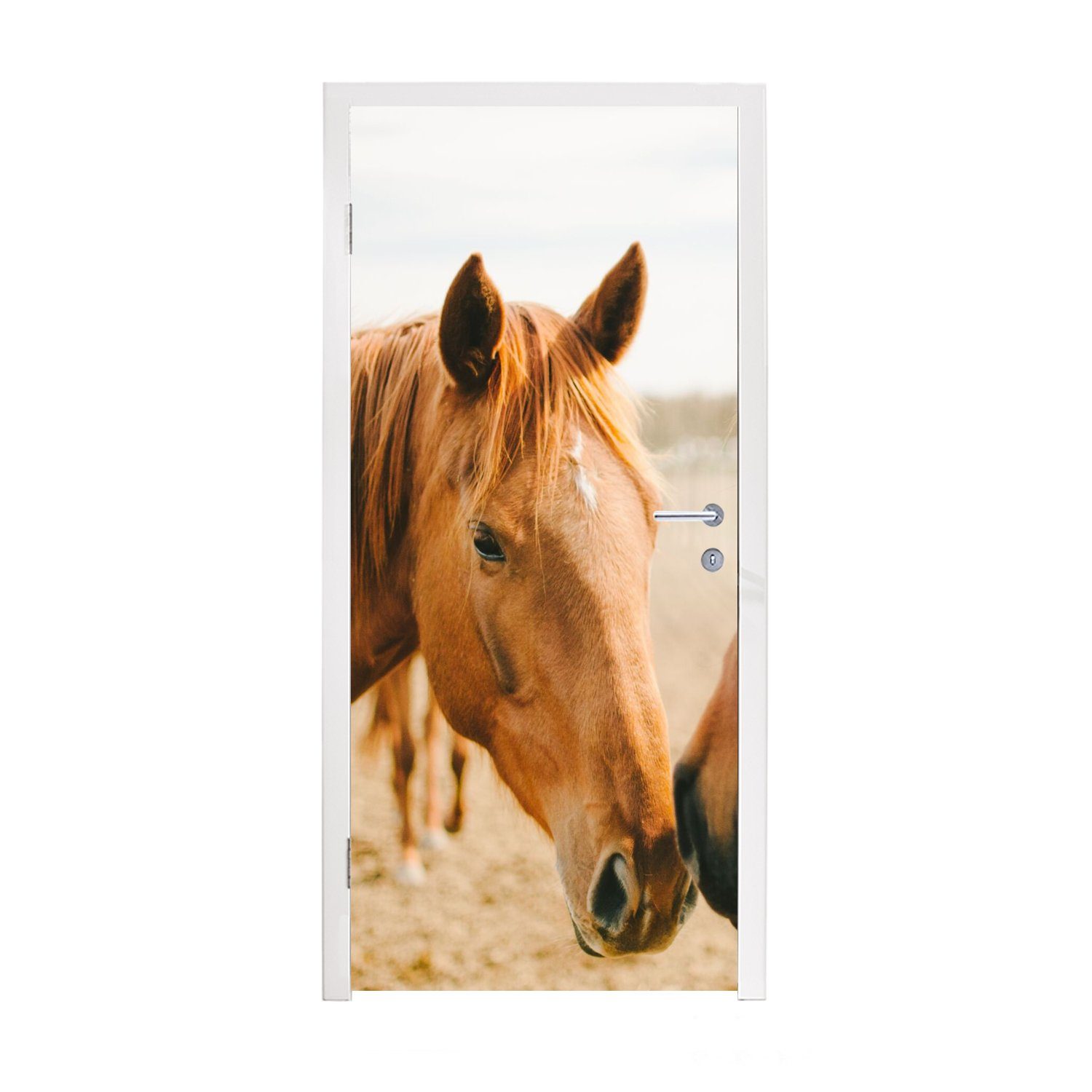 MuchoWow Türtapete Pferd - Strand - Tiere, Matt, bedruckt, (1 St), Fototapete für Tür, Türaufkleber, 75x205 cm