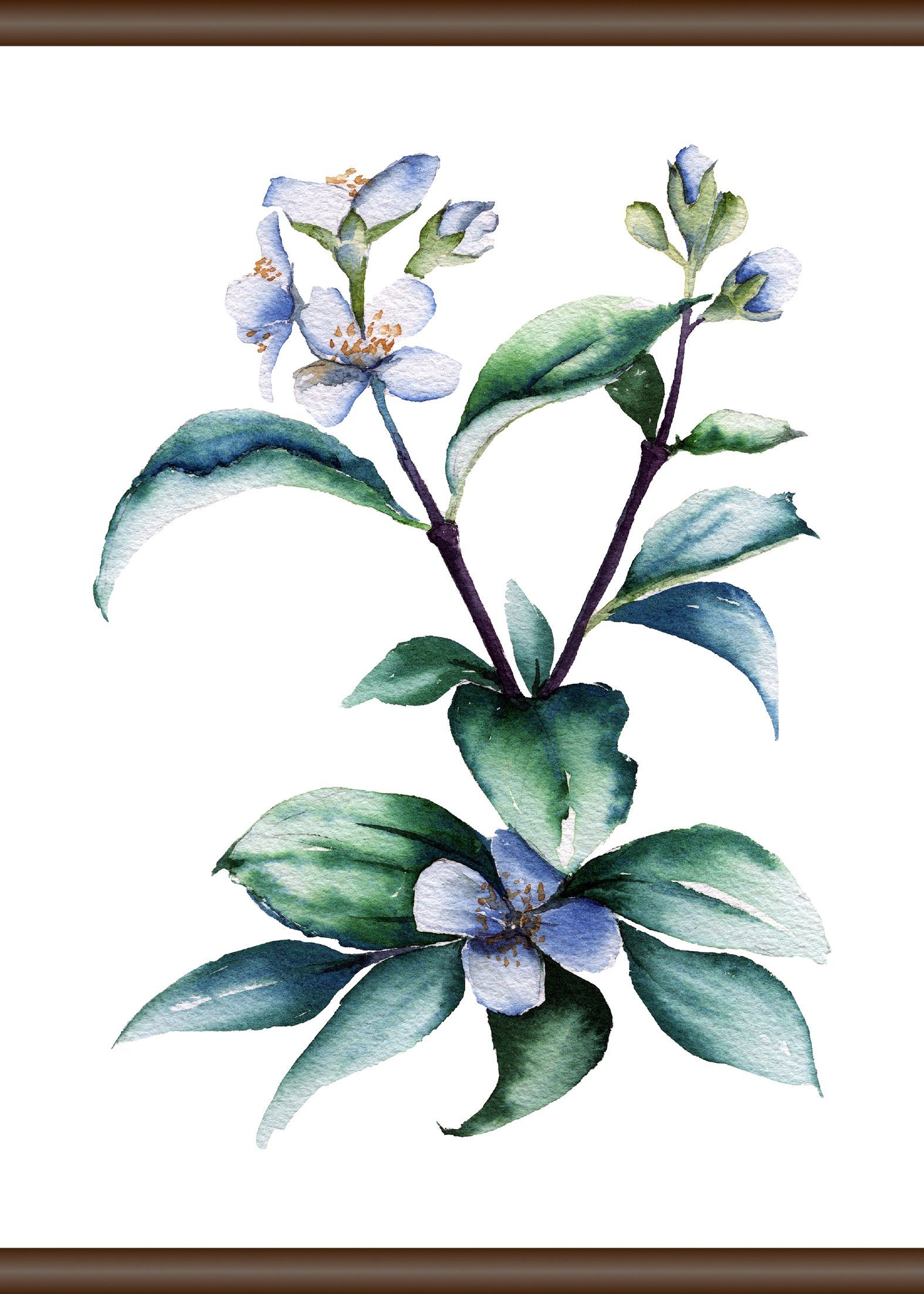 Leinwandbild Pflanze, 50x70 queence Lila cm