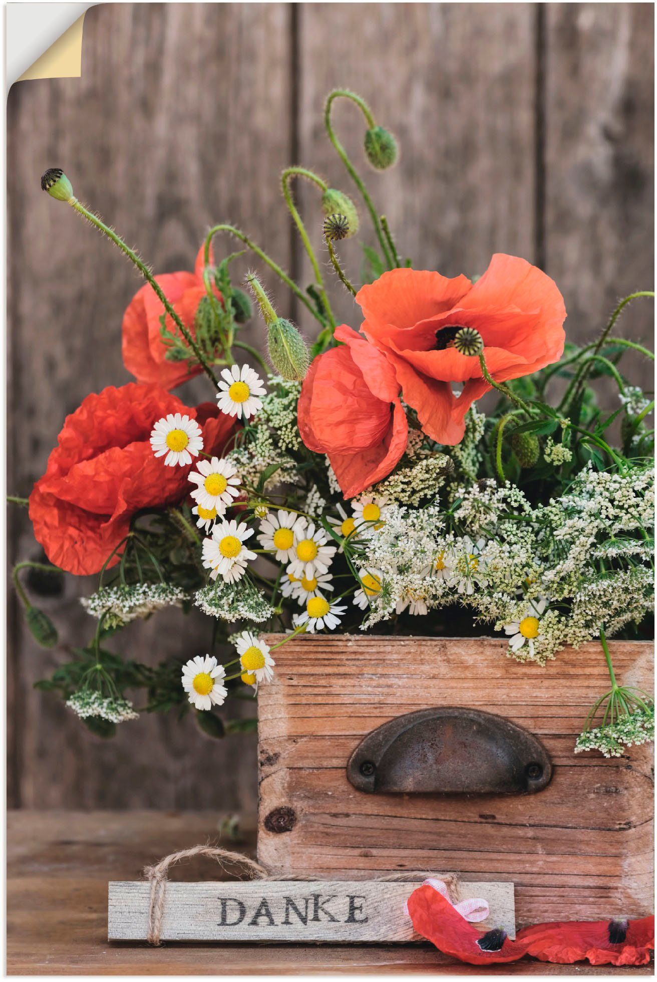 St), Alubild, Wandbild oder Mohnblüten Leinwandbild, Blumen (1 Wandaufkleber Artland als Poster Typografie Größen in versch. Danke,