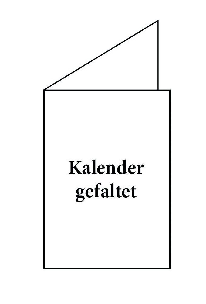 LYSCO Wandkalender Green Wandplaner 2026 / 2025 + 2026 gefaltet DIN A2 (420 x 594 mm), Darstellung 14 Monate mit Jahresvorschau Folgejahr, und Ferientermine / Feiertage aller Bundesländer