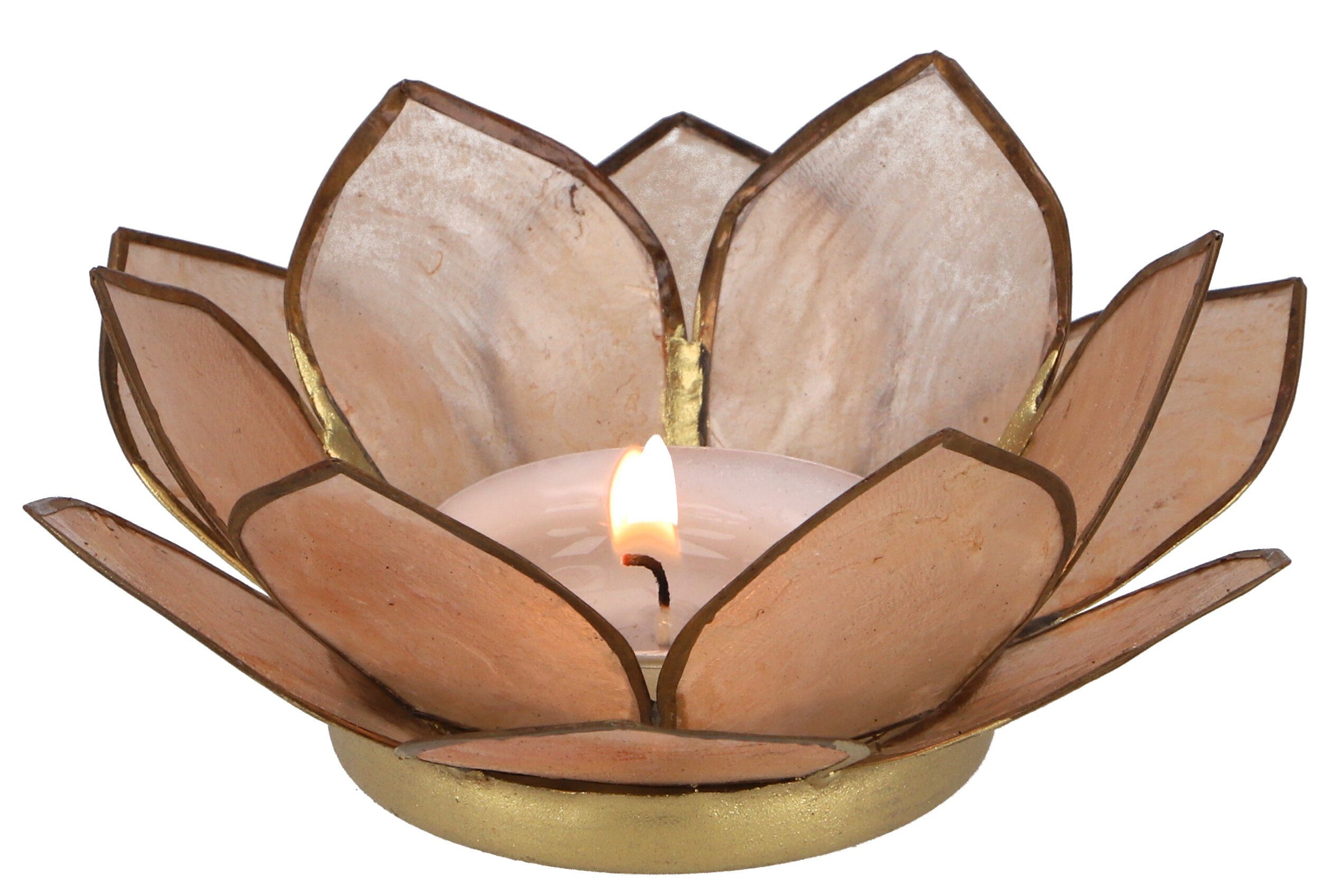 Guru-Shop Windlicht Lotus Teelicht Muschel 11*4 cm - sandfarben