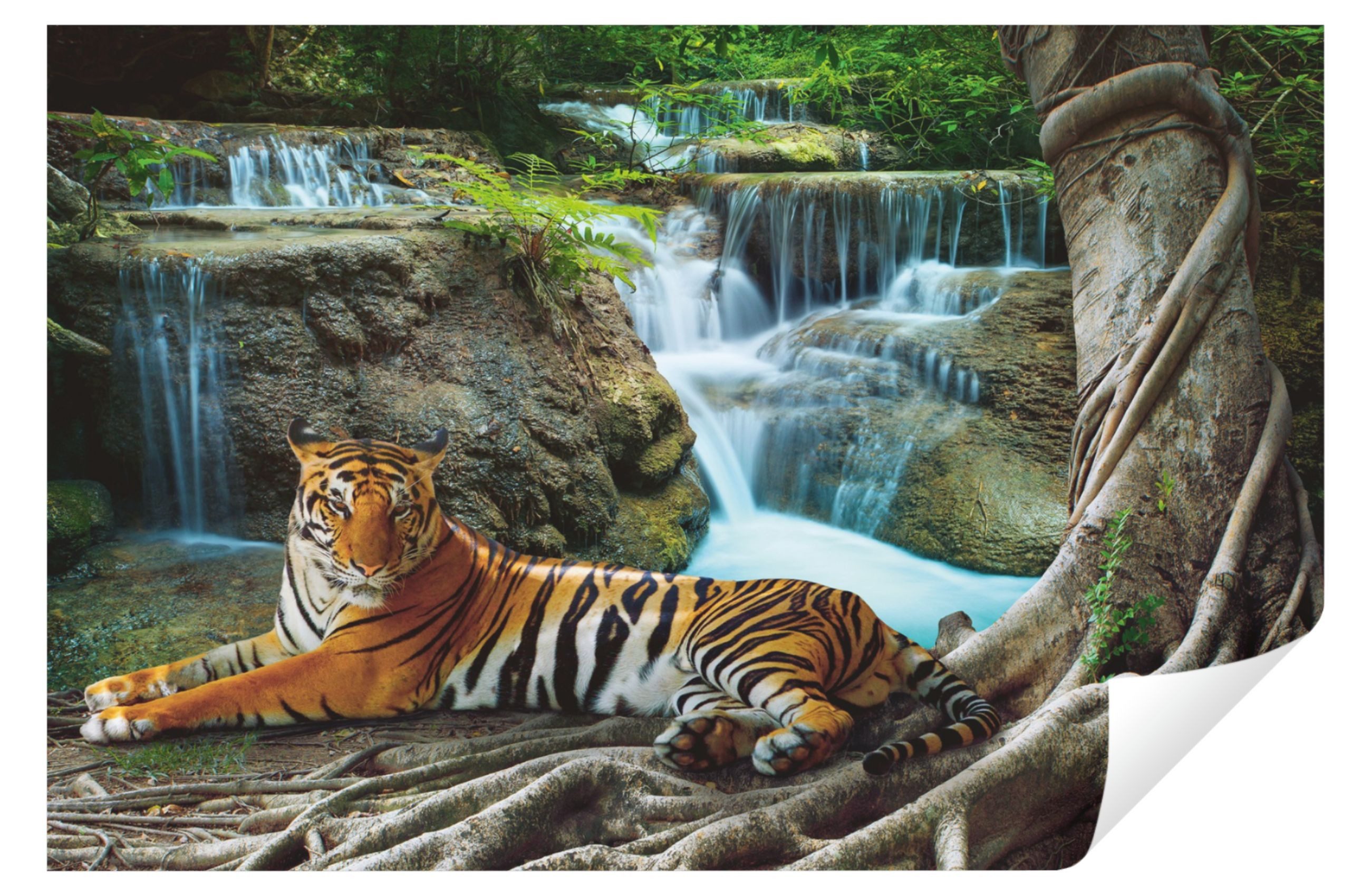 Wallarena Fototapete Wasserfall Tiger Tiere Wald Natur Landschaft Wohnzimmer Schlafzimmer, Glatt, Tiger, Tapete inklusive Kleister Vliestapete Motivtapete