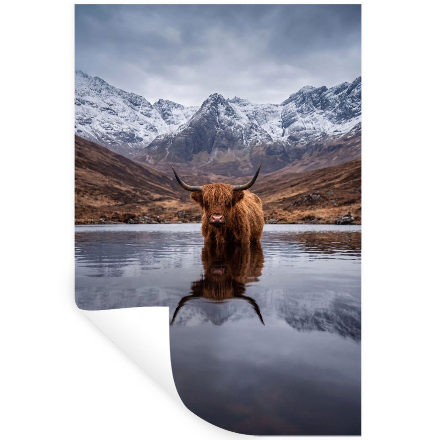 MuchoWow Wandsticker Schottischer Hochländer - Braun - Wasser (1 St), Wandaufkleber, Selbstklebend, Wohnzimmer, 20x30 cm
