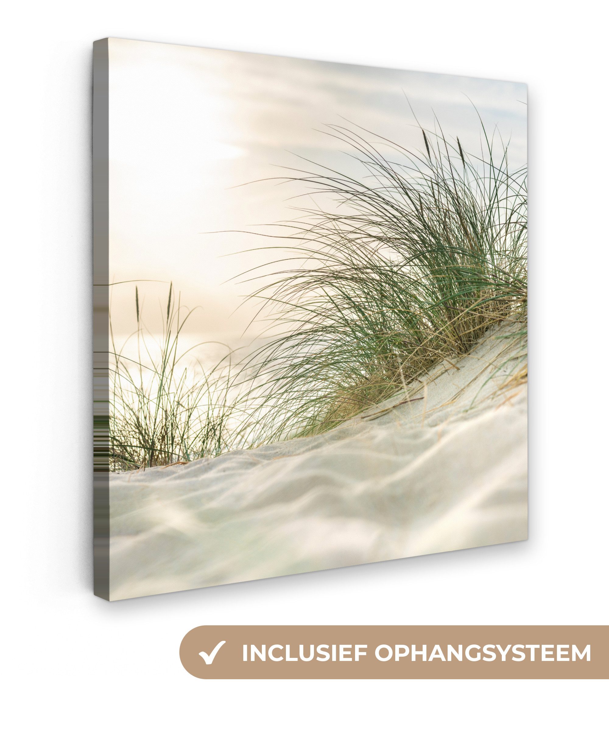 OneMillionCanvasses® Leinwandbild Dünen mit Strandhafer in der Sonne des Nationalparks Schleswig-Holstei, Fotodruck (1 St), Wandbild, Deko Schlafzimmer Wohnzimmer Flur 20x20 cm