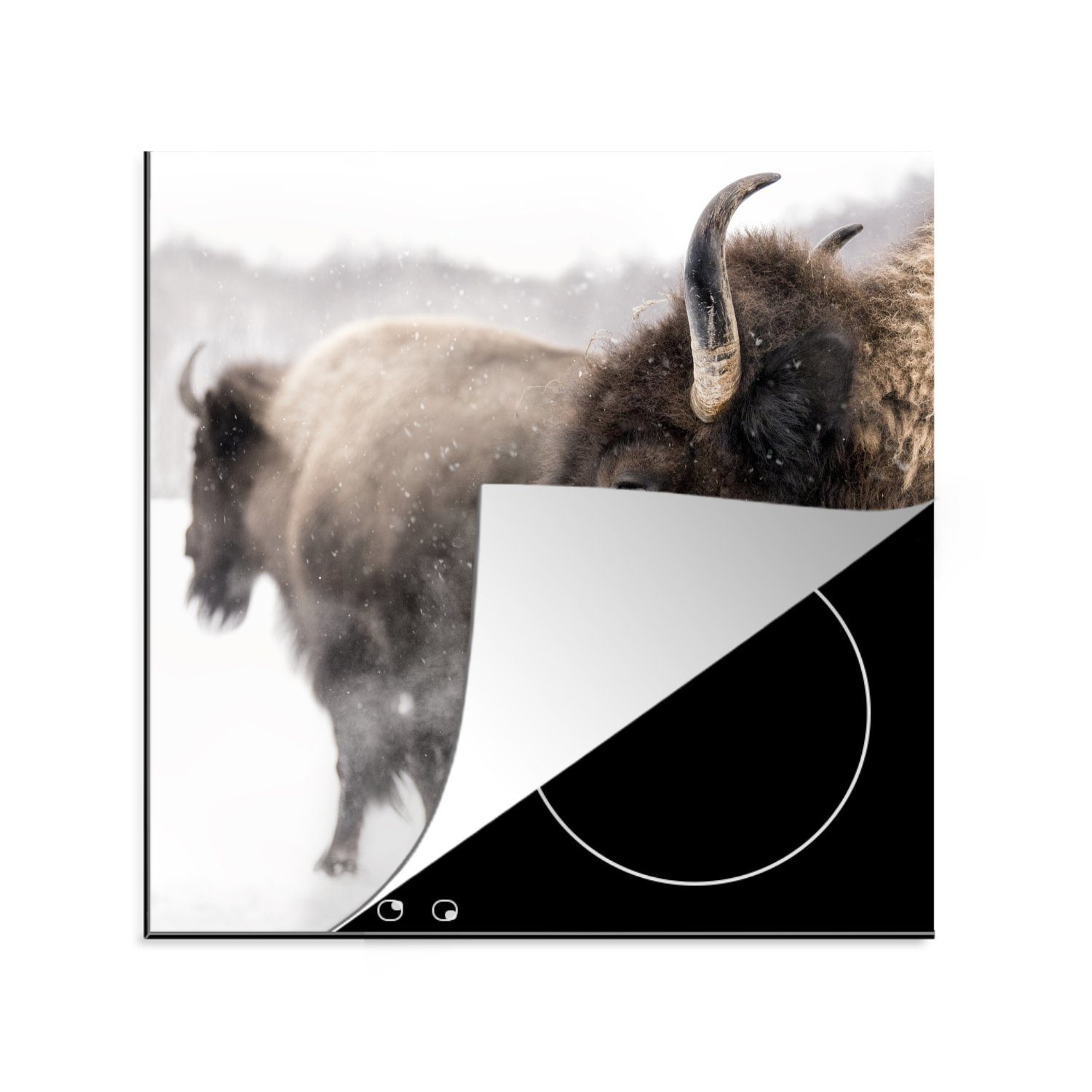 MuchoWow Herdblende-/Abdeckplatte Bison - Horn - Schnee, Vinyl, (1 tlg), 78x78 cm, Ceranfeldabdeckung, Arbeitsplatte für küche