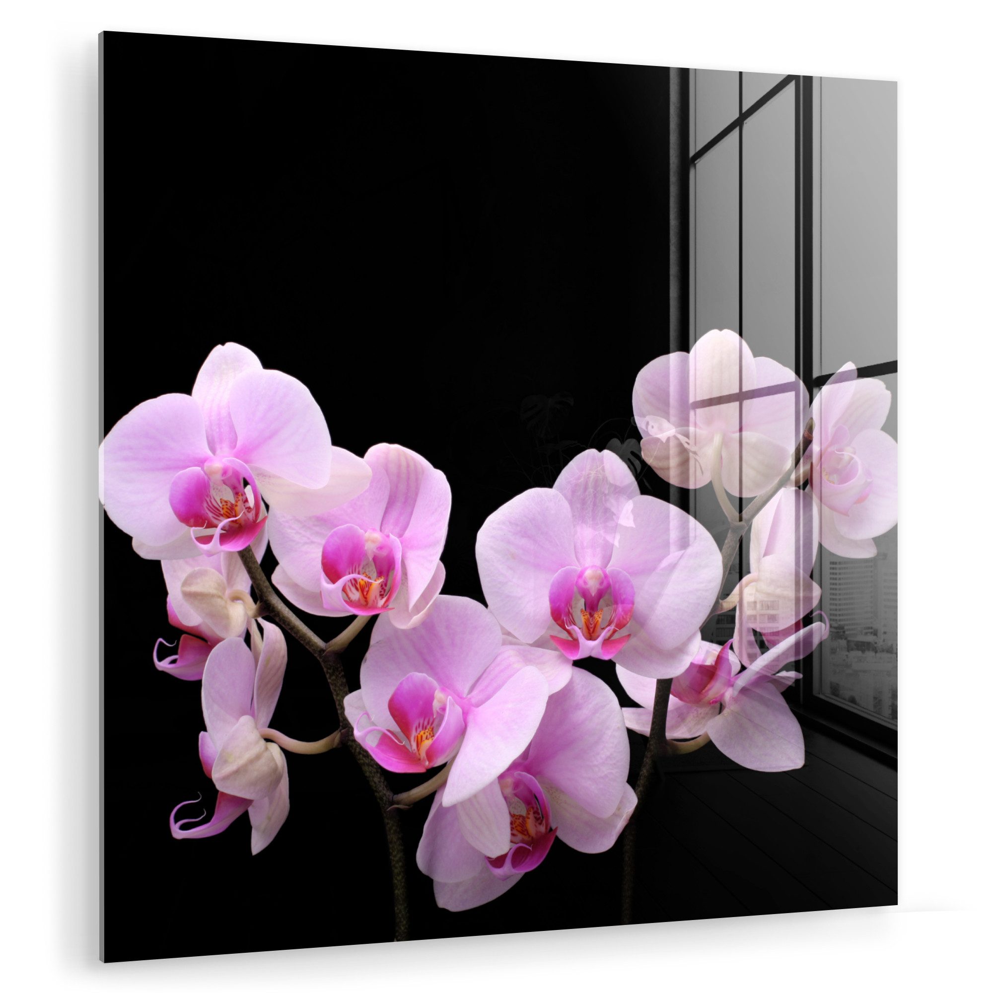 MuchoWow Acrylglasbild Orchidee - Blumen - günstig online kaufen