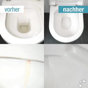 bio-chem Urin- und Kalkstein-Entferner SET 2x 1 l + Schrägdüse WC-Reiniger