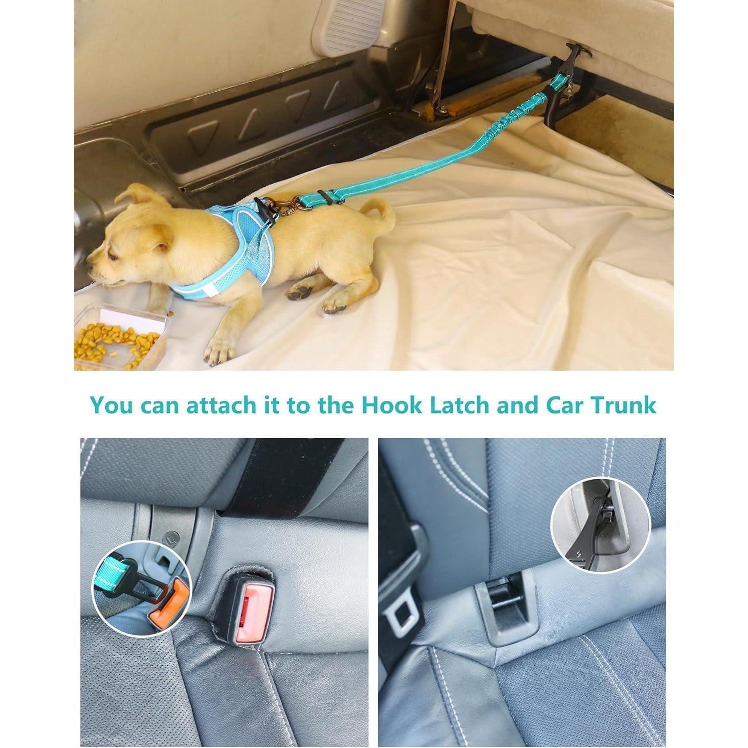 LuxusKollektion Autohundegeschirr Anschnallgurt Hund Auto Bungee Geschirr Clip Karabiner Türkis