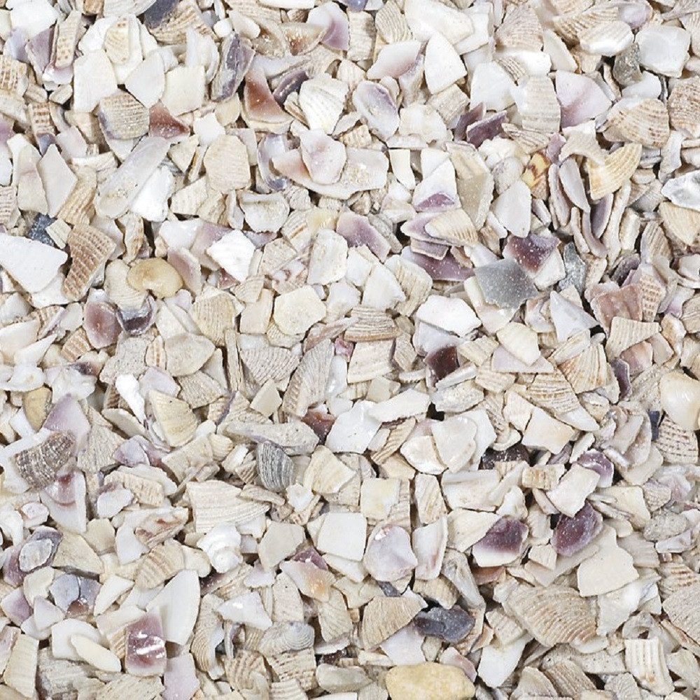 Eurosand Bastelnaturmaterial MUSCHELGRANULAT 2-5mm. 5kg. NATUR