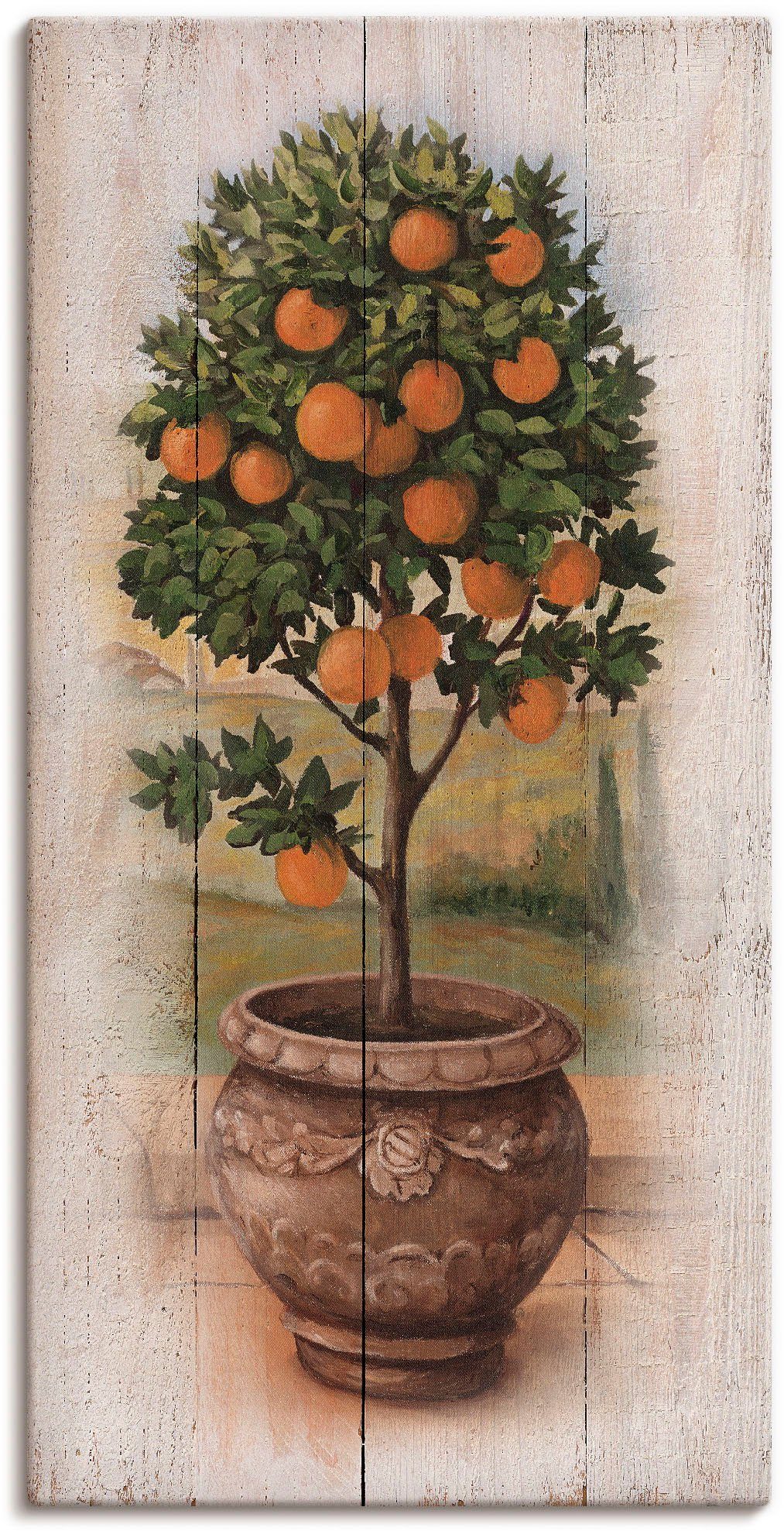 Poster oder (1 versch. Wandaufkleber Artland Wandbild Größen Holzoptik, in Leinwandbild, St), Orangenbaum als mit Bäume