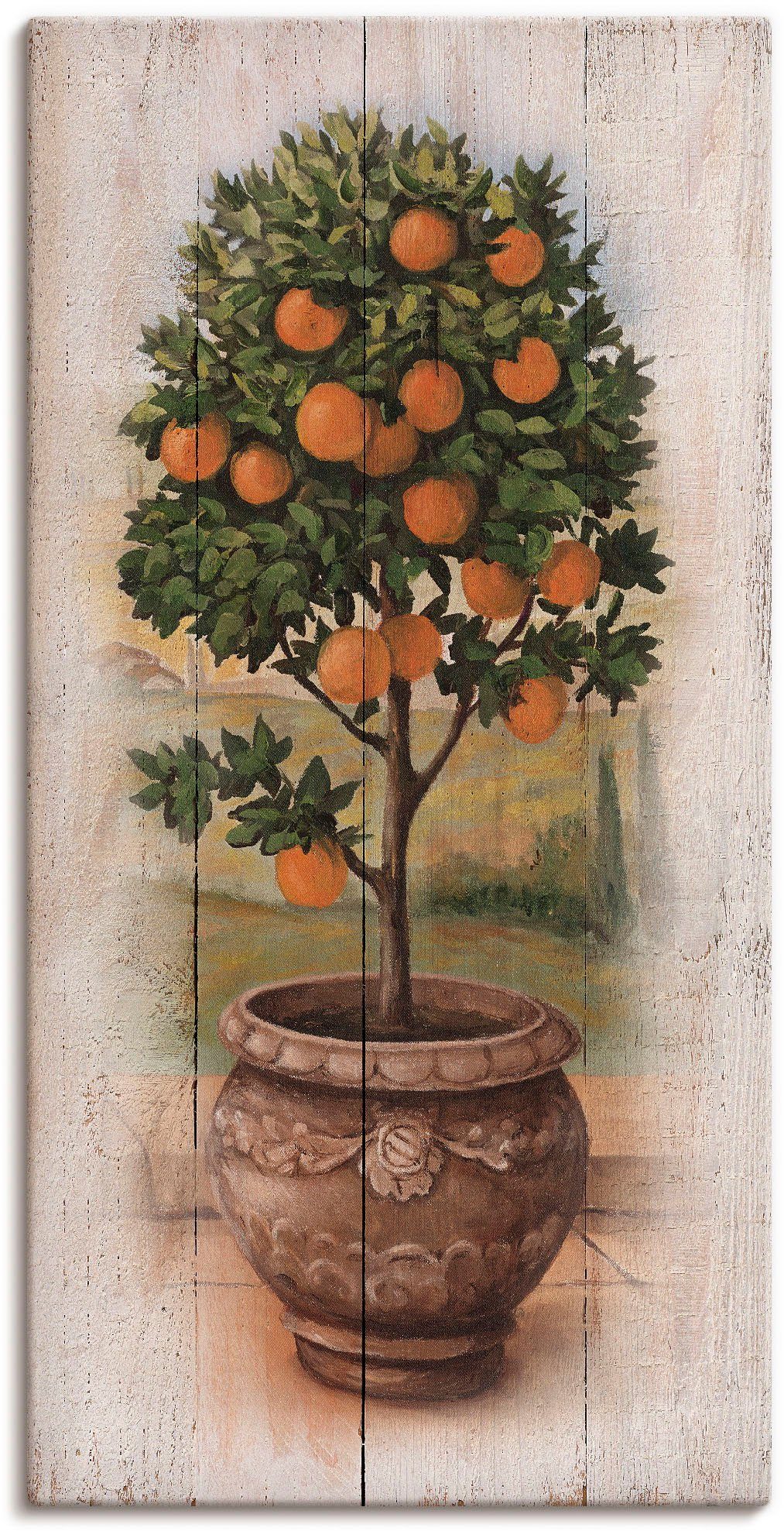 Artland Leinwandbild Orangenbaum mit Holzoptik, Bäume (1 St), auf Holzrahmen gespannt