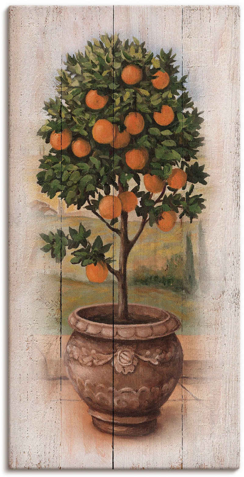 Artland Wandbild Orangenbaum mit Holzoptik, Bäume (1 St), als Leinwandbild, Wandaufkleber oder Poster in versch. Größen