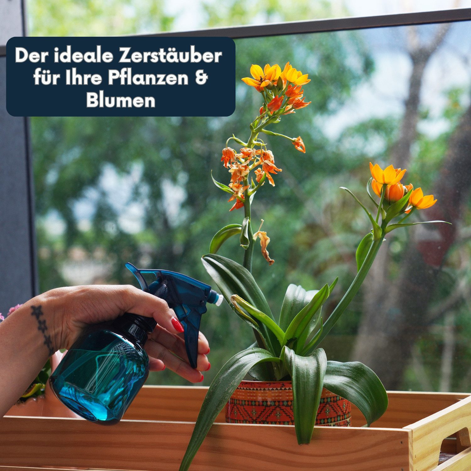 Dilara Sprühflasche Sprühflaschen klein für Pflanzen, Blumen, Friseurbedarf Sprühflaschen, (3-tlg), Ein Sprüher für alles – präzise, vielseitig, leicht in der Hand