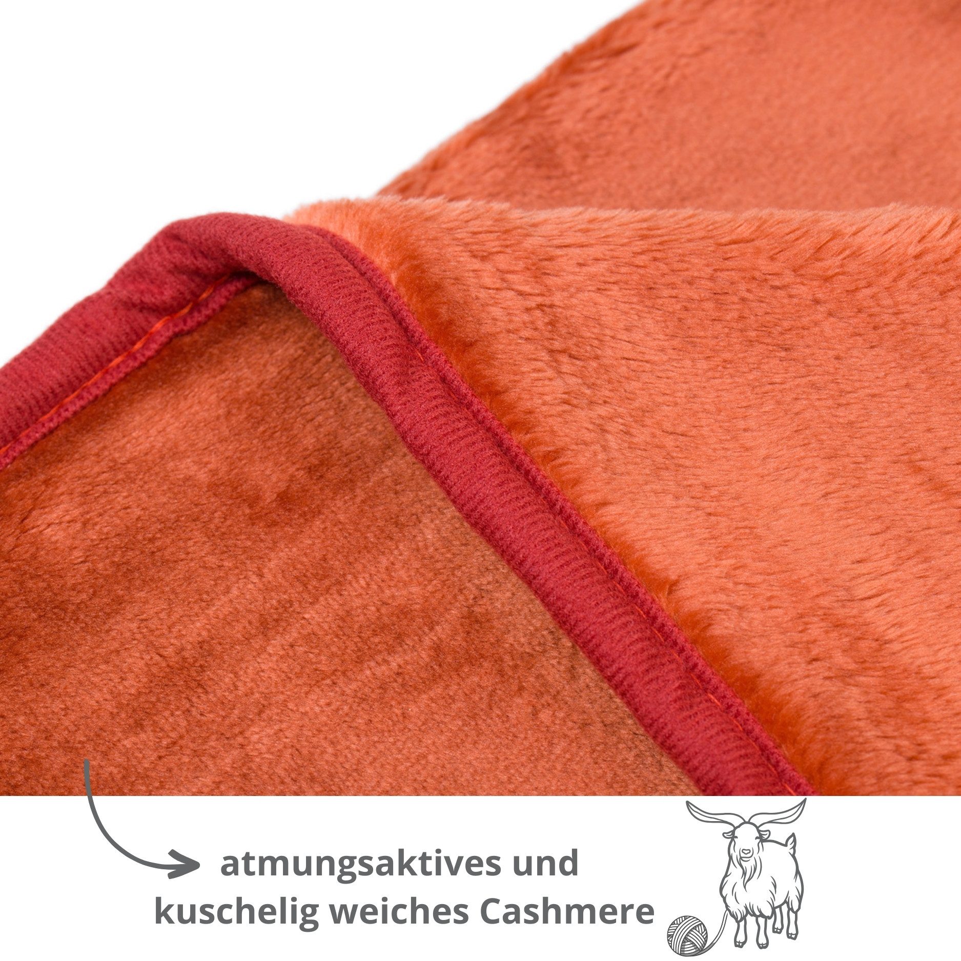 Wohndecke Kuscheldecke Cashmere Feeling, liebling, wärmeisolierend, günstig online kaufen