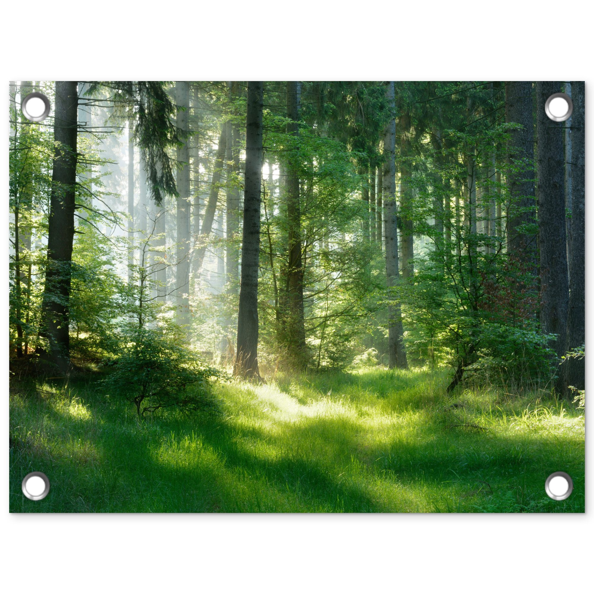 OnlyWow Poster für Garten Natur - Bäume - Wald - Grün - Sonne - Gras - Pflanzen, Gartenposter, Outdoor Bilder, Gartendekoration Bild, 40x30 cm