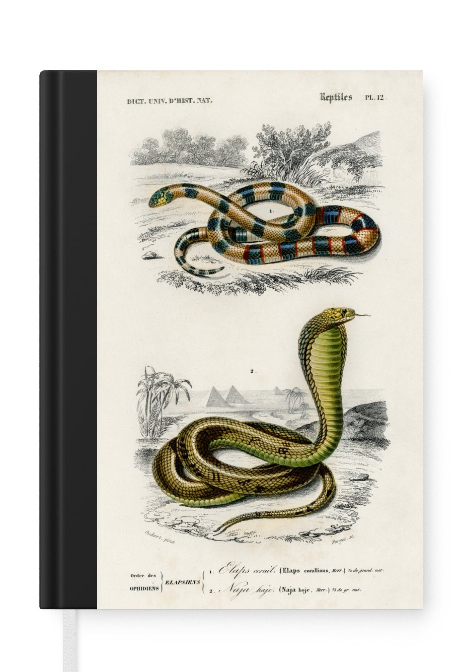 MuchoWow Notizbuch Schlange - Jahrgang - Reptilien, Journal, Merkzettel, Tagebuch, Notizheft, A5, 98 Seiten, Haushaltsbuch