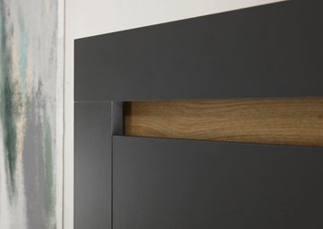Furn.Design Stauraumvitrine Rooky (Vitrinenschrank Anthrazit und Eiche, 96 x 206 cm) 4-türig, 10 Fächer