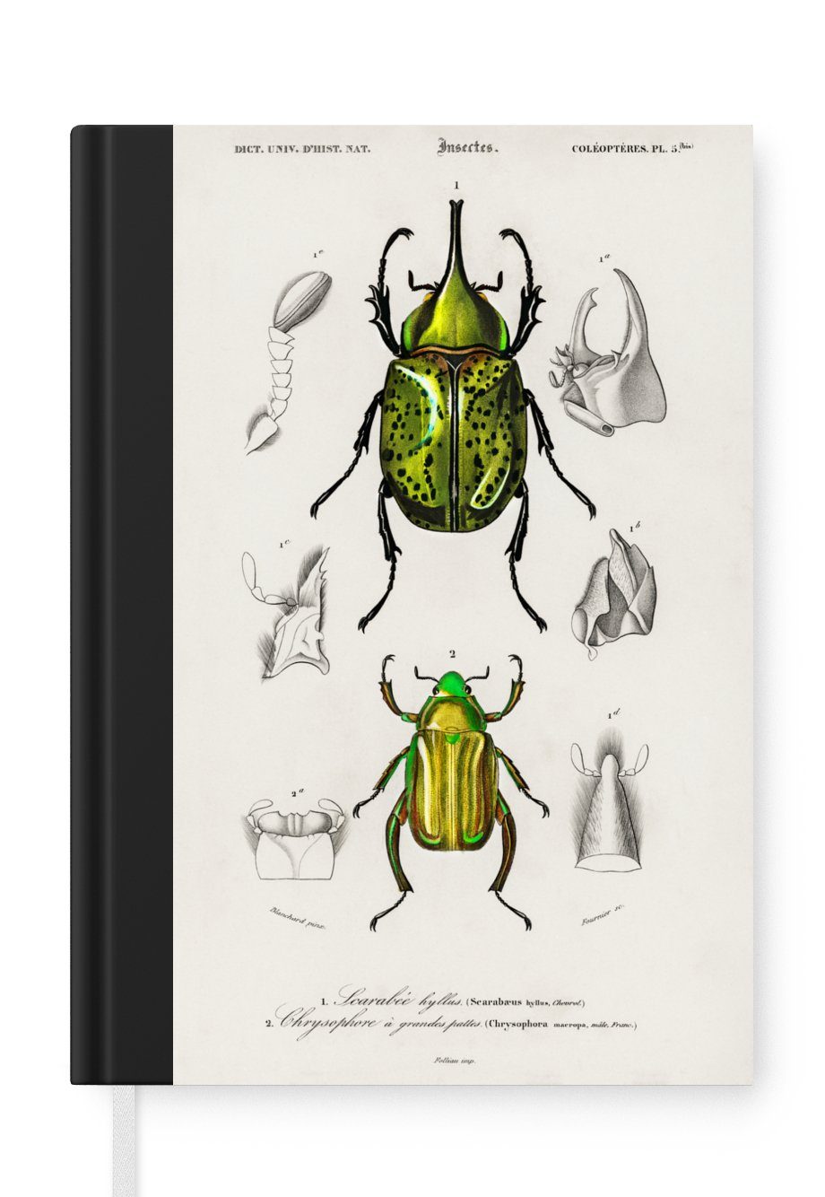 MuchoWow Notizbuch Käfer - Jahrgang - Insekten, Journal, Merkzettel, Tagebuch, Notizheft, A5, 98 Seiten, Haushaltsbuch