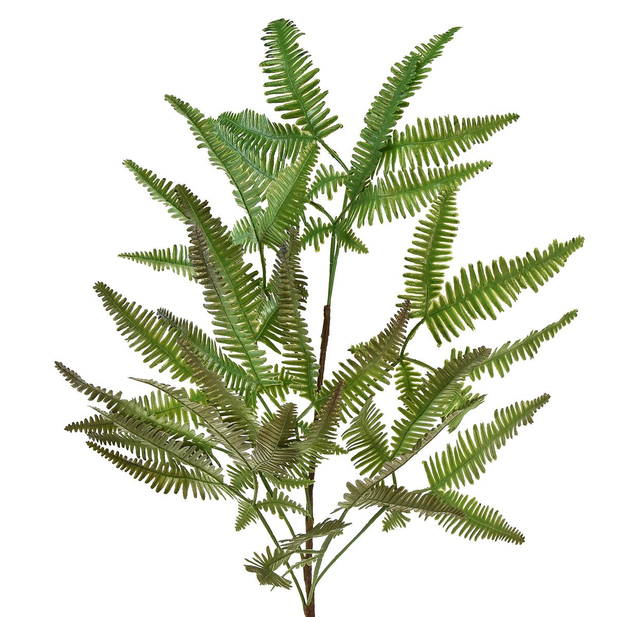 Künstliche Zimmerpflanze Künstlicher Farn 44cm Dekoration günstig online kaufen