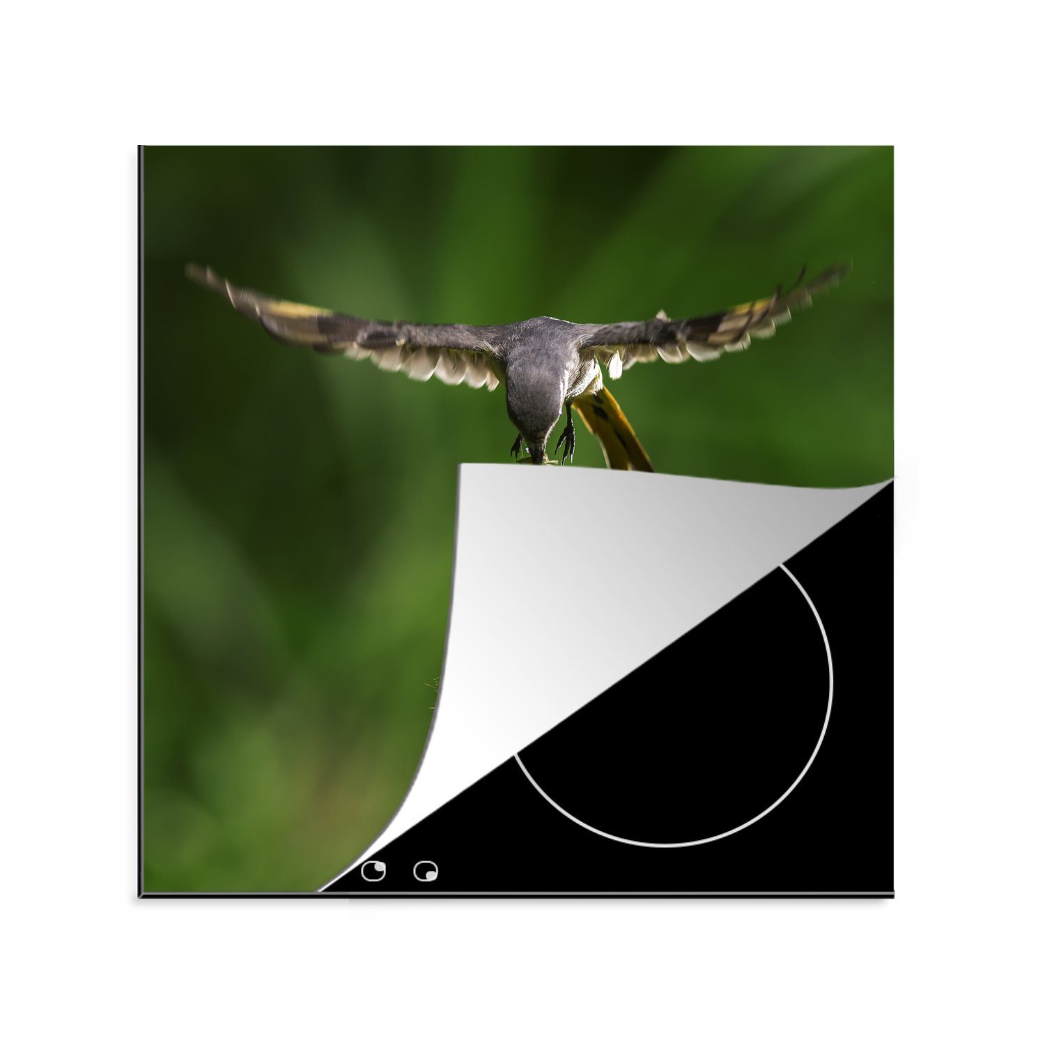 MuchoWow Herdblende-/Abdeckplatte Vogel füttert seine Jungen, Vinyl, (1 tlg), 78x78 cm, Ceranfeldabdeckung, Arbeitsplatte für küche