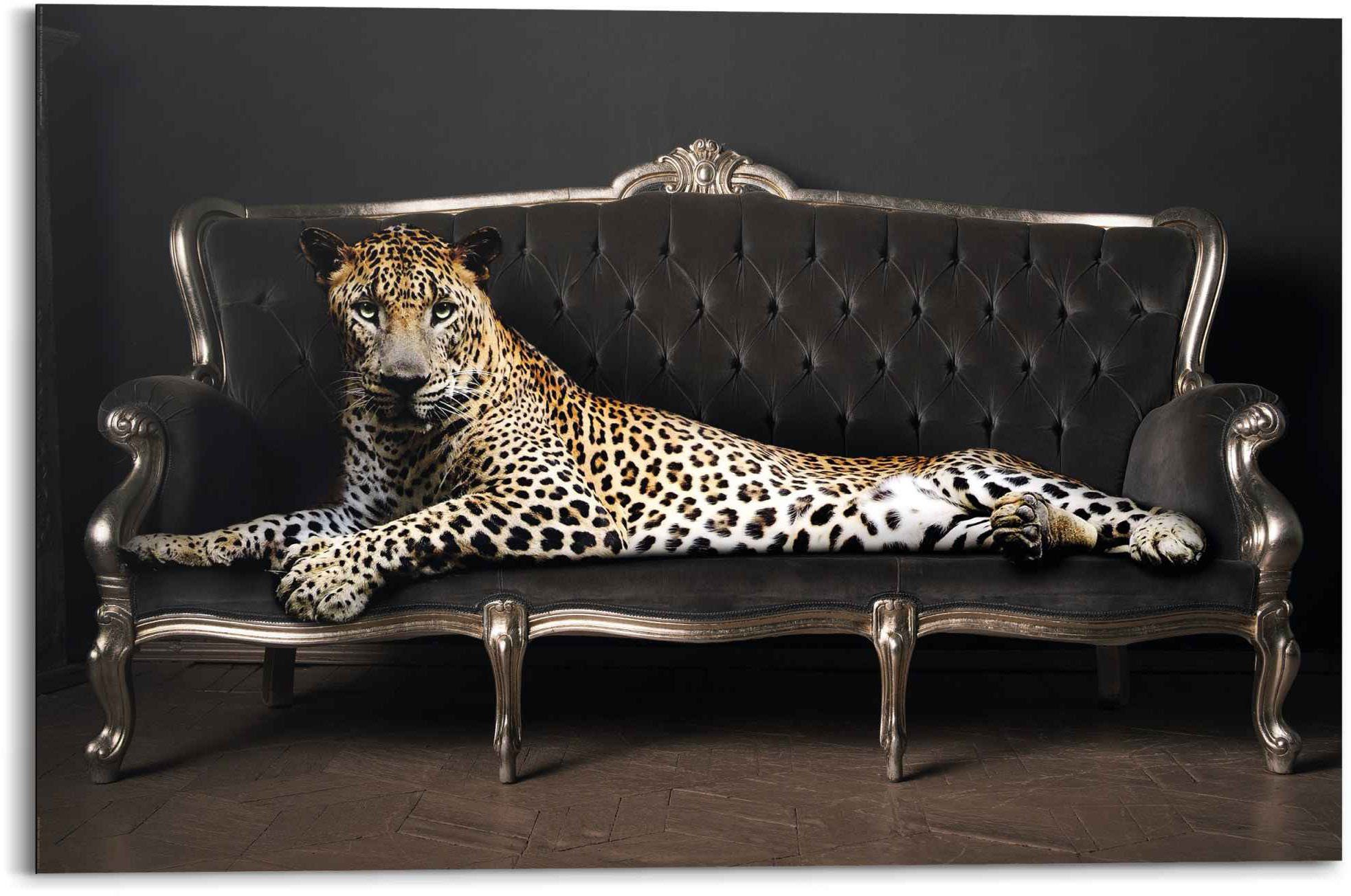 Reinders! Wandbild Wandbild Leopard Chic Panther - Liegend - Luxus - Relax, Leopard (1 St)