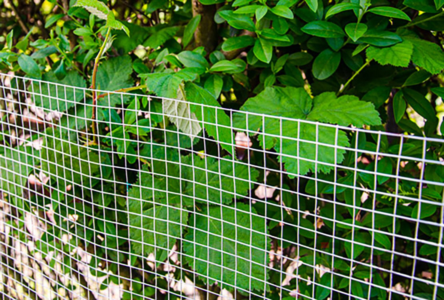 Niederberg Metall Maschendrahtzaun 25 x 1 m Verzinkt - Volierendraht für Kaninchen, Vögel, und Kleintiere, 0,8 mm Drahtgitter - 19 mm Hasendraht - Kaninchendraht - Käfigdraht