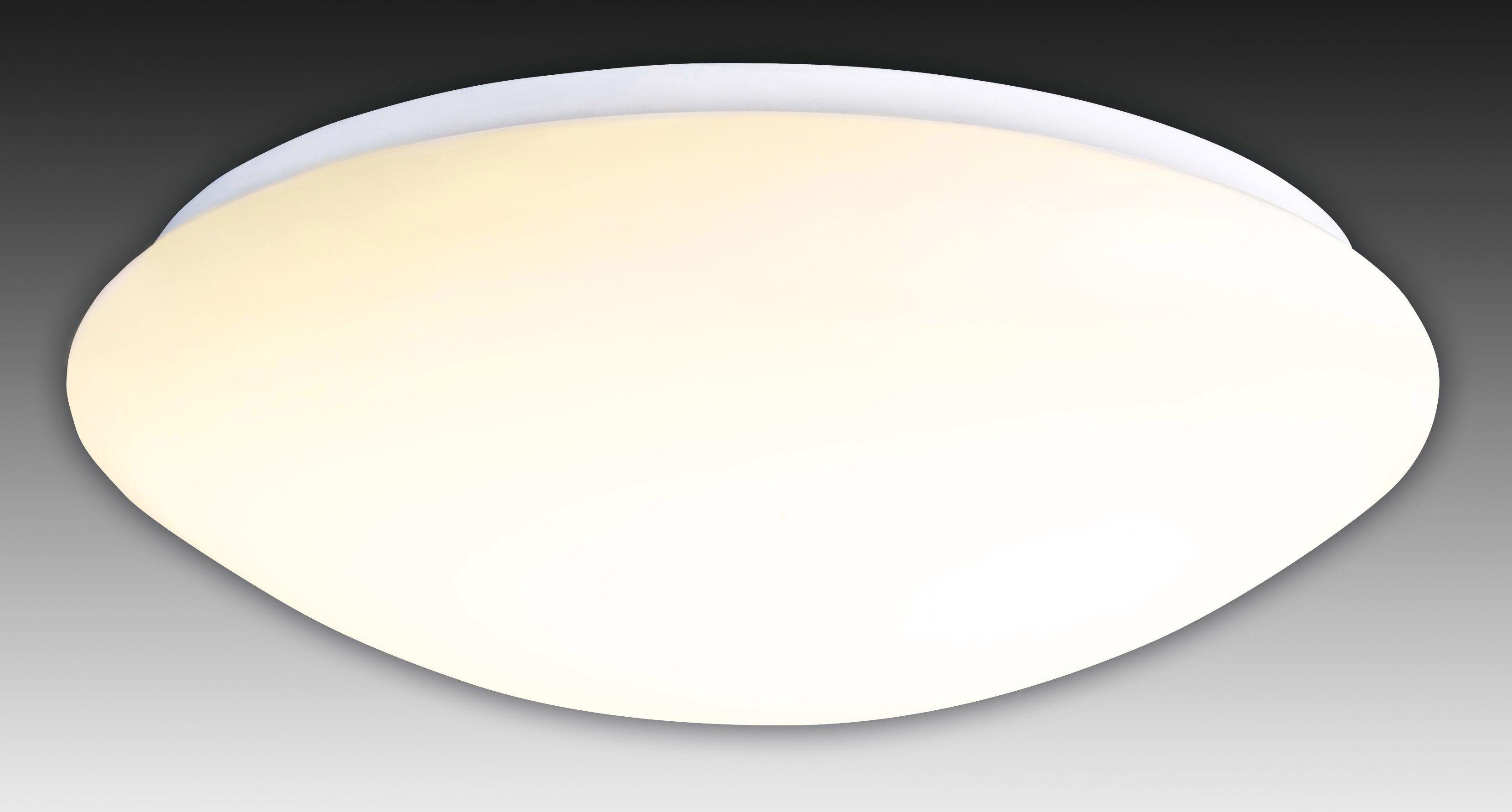näve LED Deckenleuchte Bern, Dimmfunktion, mehrere günstig online kaufen
