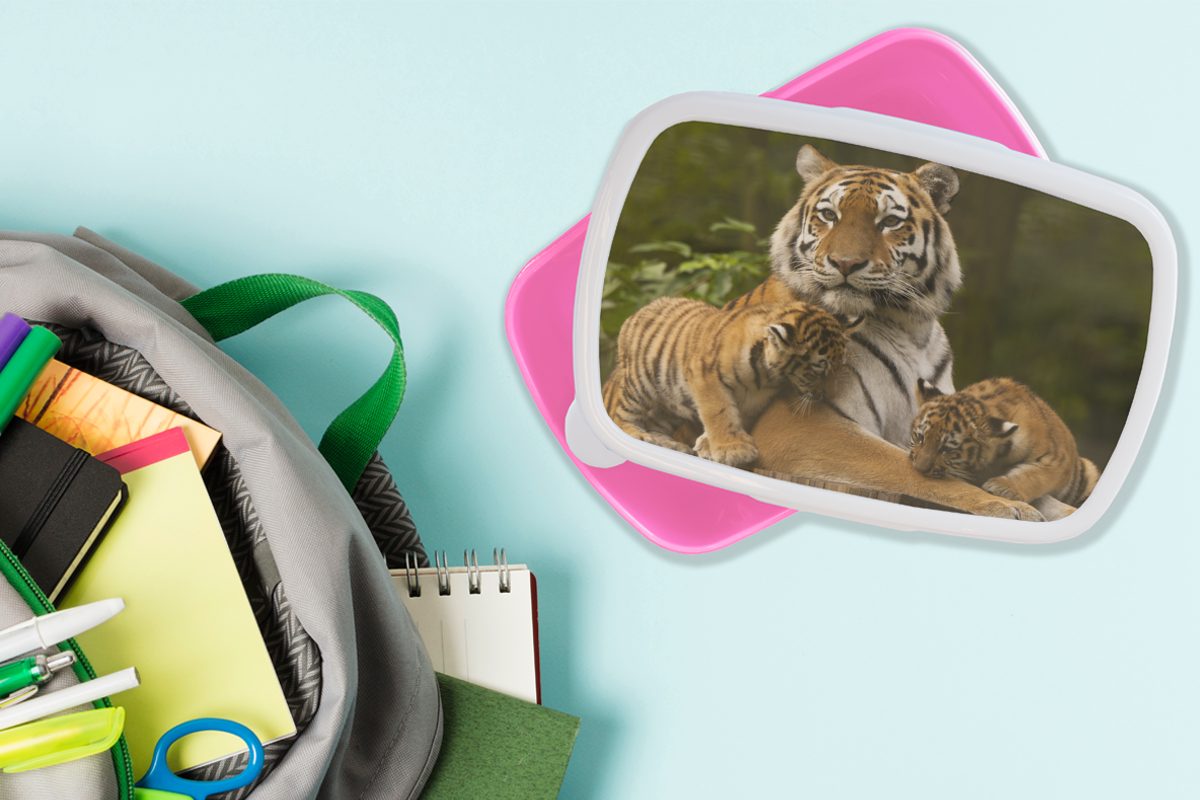 Tiger Snackbox, Kinder, Brotdose Lunchbox - Kunststoff Jungtiere für rosa (2-tlg), - MuchoWow Brotbox Erwachsene, Kunststoff, Mädchen, Natur,