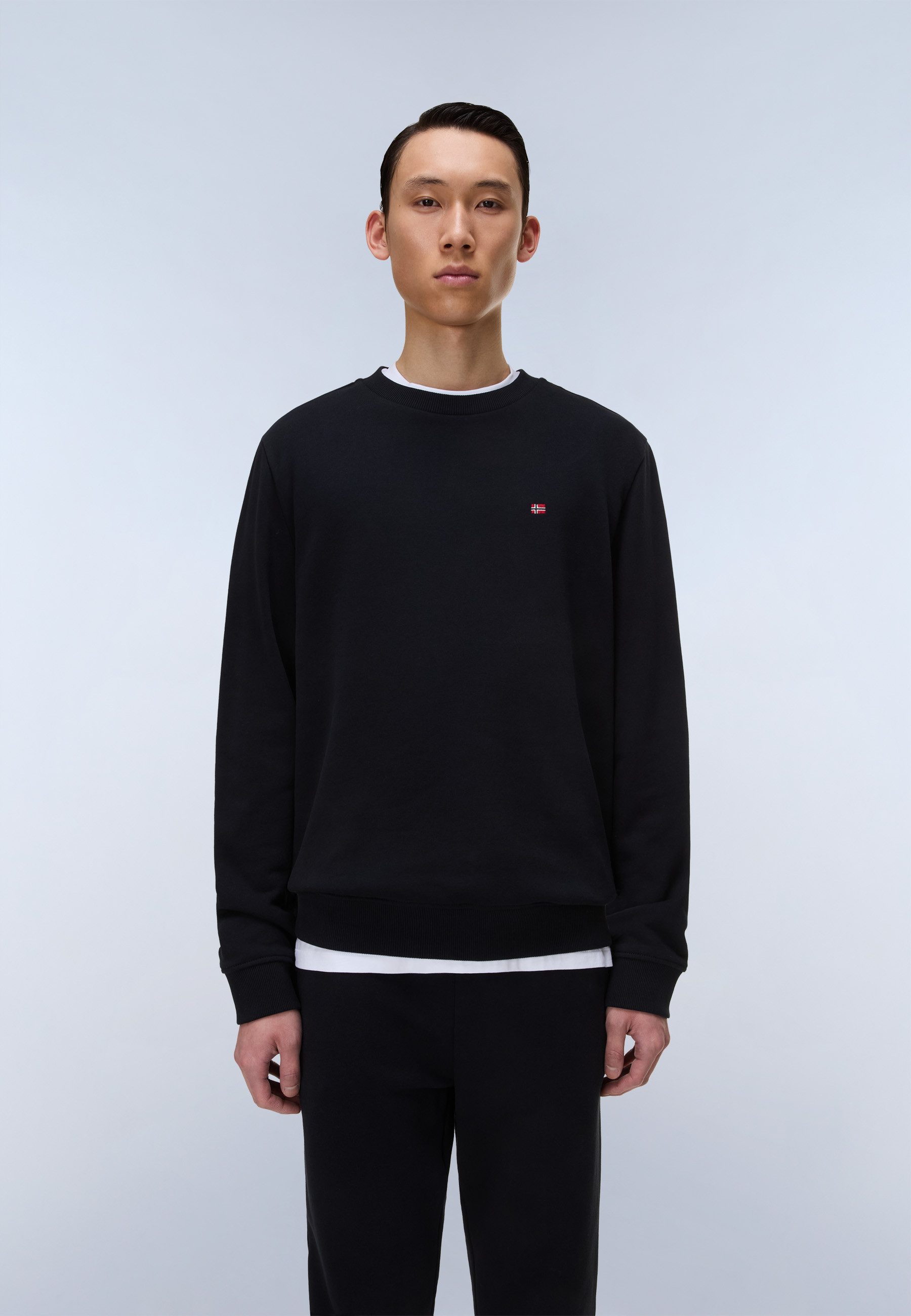 Napapijri Kapuzensweatshirt mit Langarm-Design, aus Baumwolle
