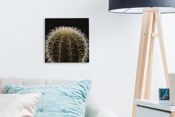 OneMillionCanvasses® Leinwandbild Eine Nahaufnahme eines dornigen Kaktus auf schwarzem Hintergrund, (1 St), Leinwand Bilder für Wohnzimmer Schlafzimmer