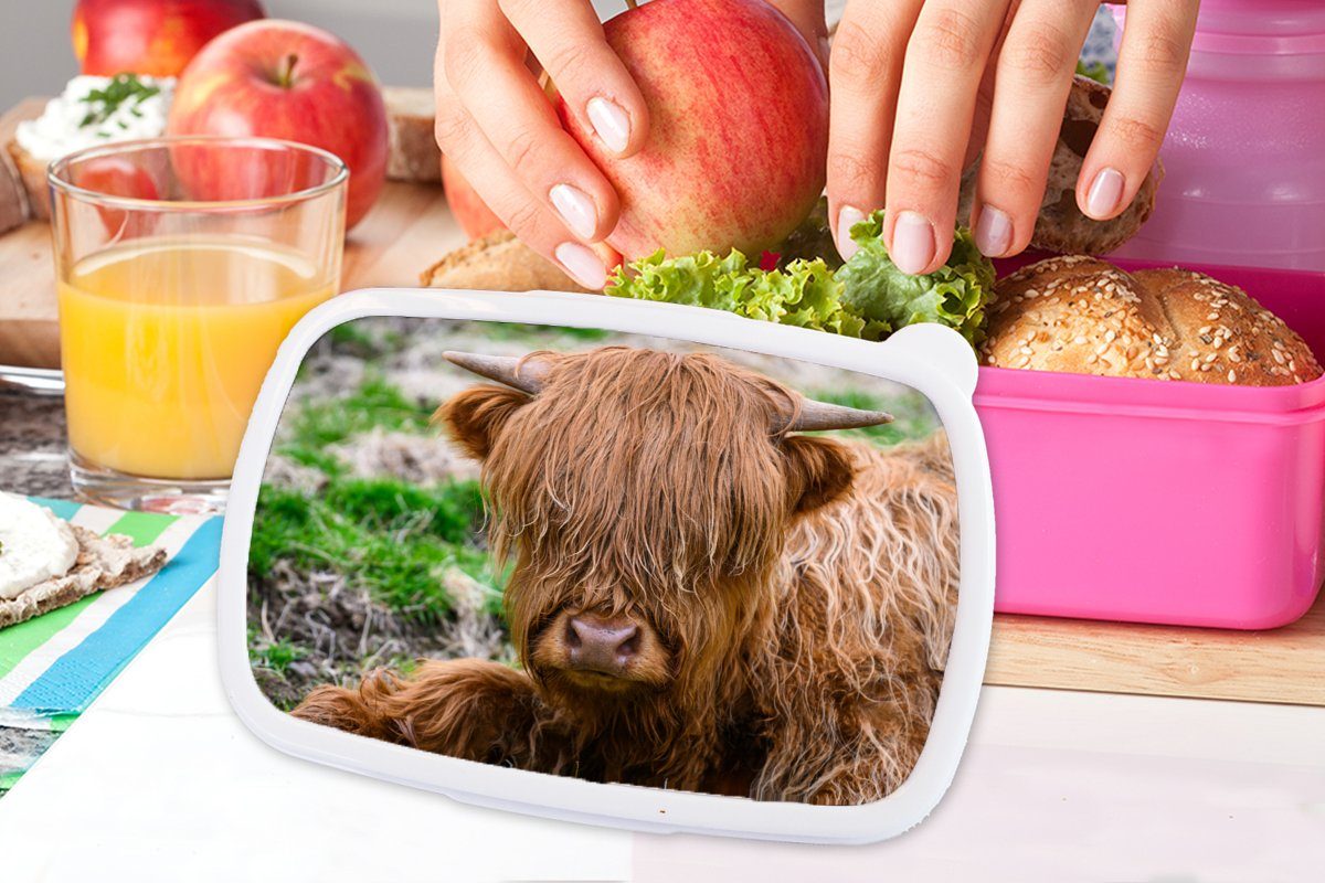 Brotbox Snackbox, (2-tlg), Lunchbox für Kinder, - Brotdose Heu MuchoWow Gras, Kunststoff Erwachsene, - Highlander Schottischer Kunststoff, Mädchen, rosa