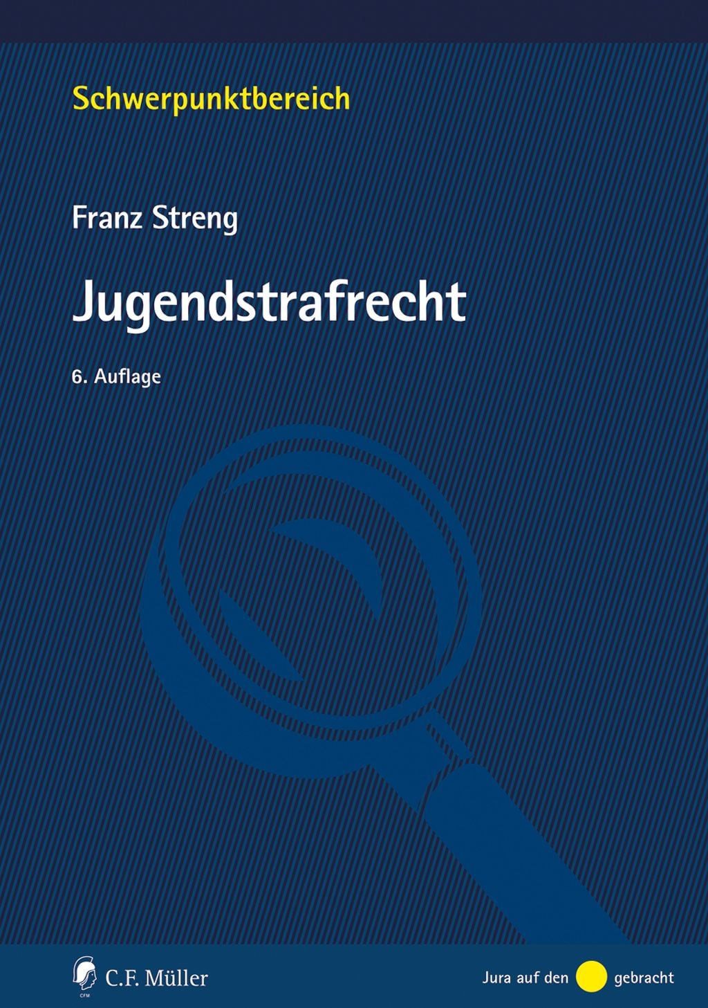 Fachbuch Jugendstrafrecht Franz Streng