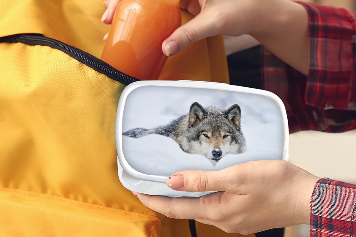 MuchoWow Brotbox Schnee Mantel, und Erwachsene, für Wolf Mädchen weiß Kunststoff, Brotdose, - für - und (2-tlg), Kinder Jungs Lunchbox
