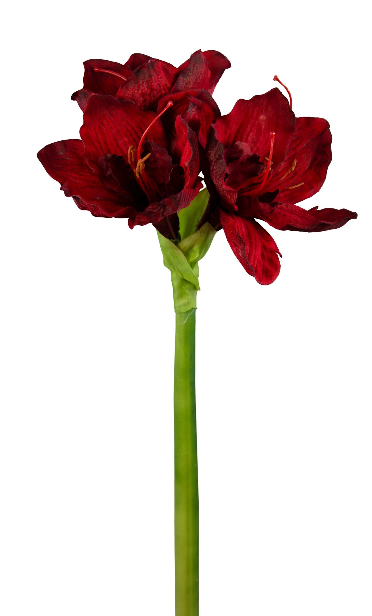 Kunstblume Große Amaryllis 65cm GA Dekoblumen künstliche Blumen Ritterstern, Seidenblumen Roß, Höhe 65 cm, Farbe: Bordeaux
